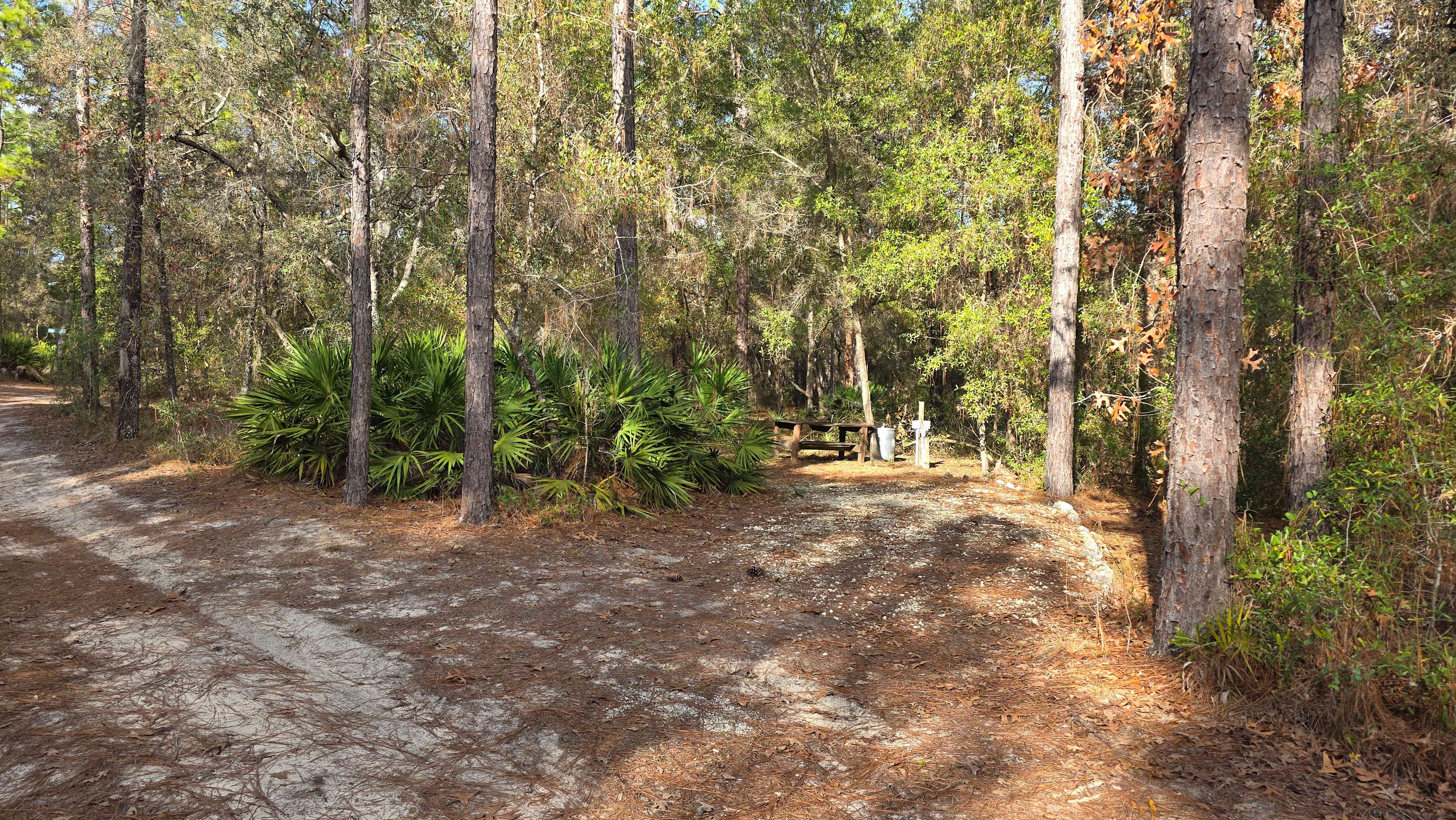 RV site #2 is a "back in" site. It will accommodate up to a 25ft bumper pull trailer comfortably.  It is a gravel pad angled from the main driveway. 