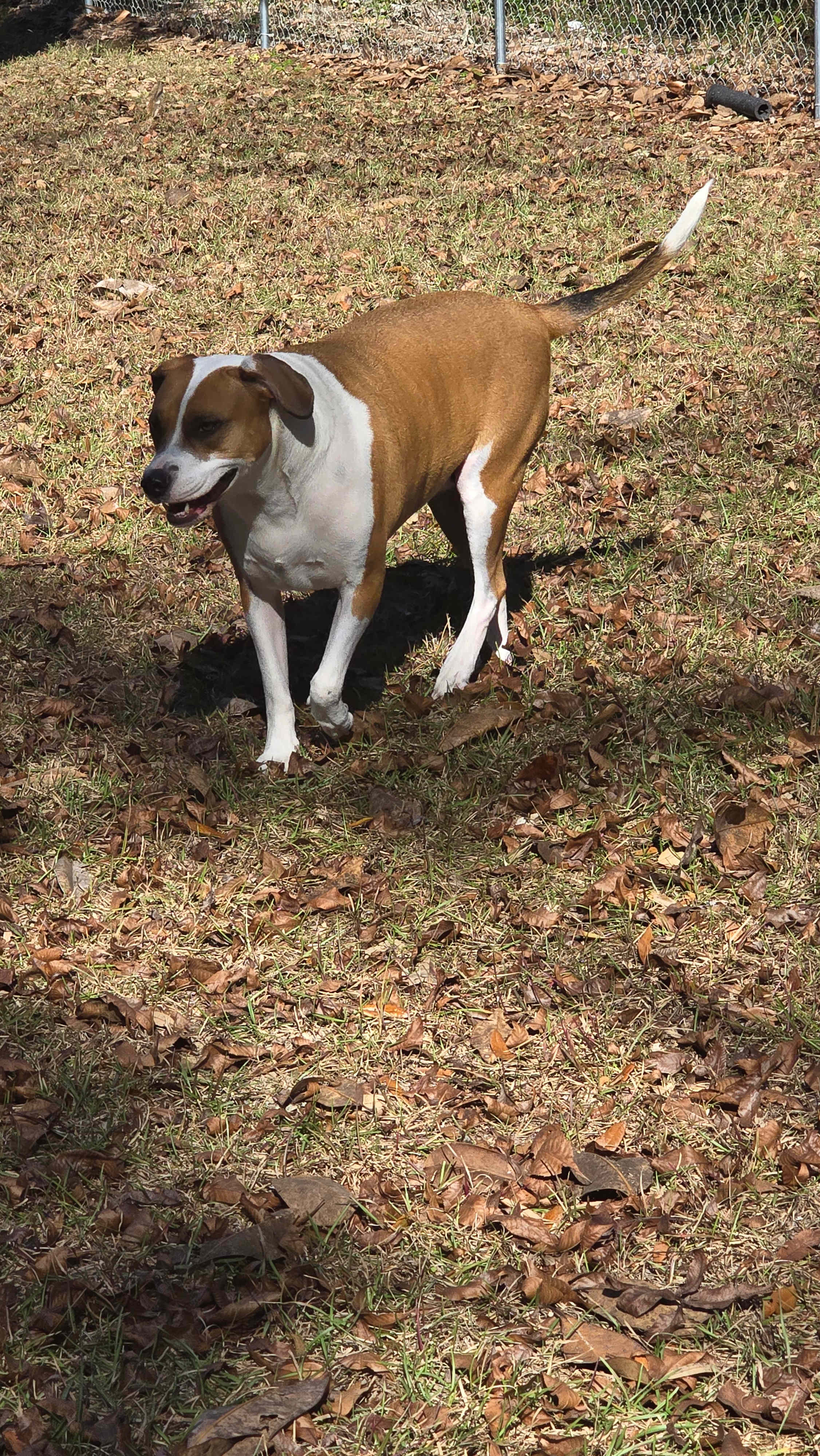 O'Neal's fish camp at Howard Creek