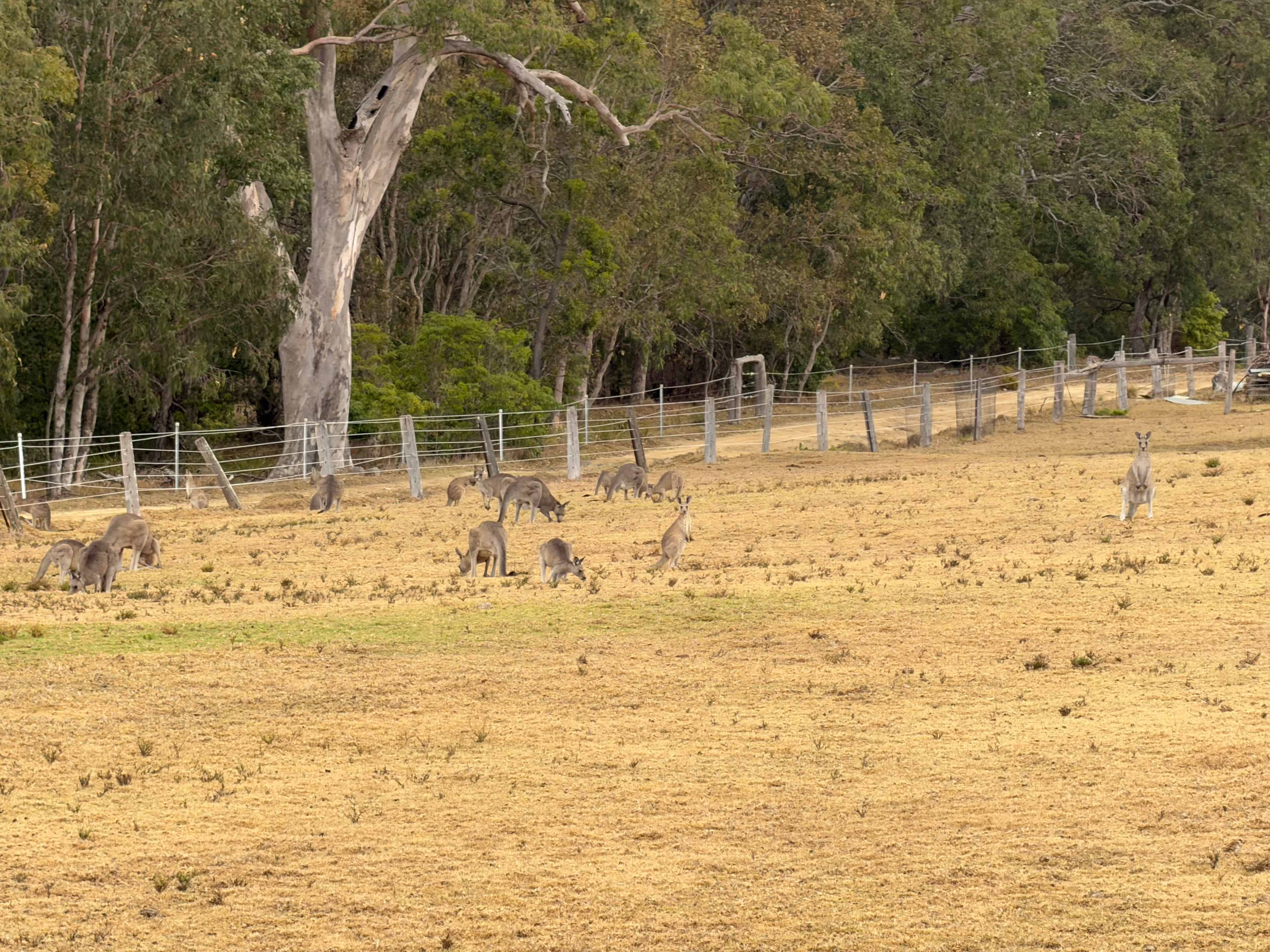Bridle and Breeze Retreat