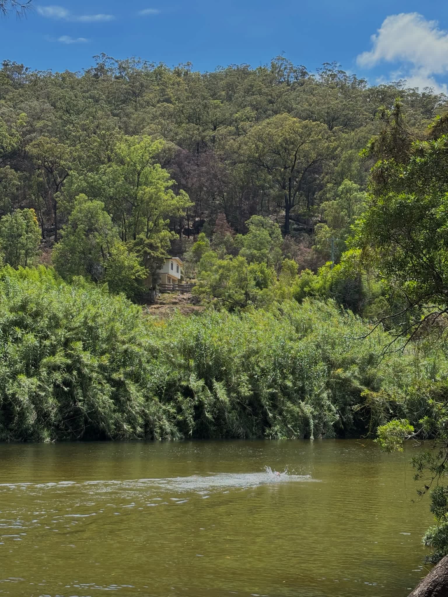 Bielany Campground @ Colo River