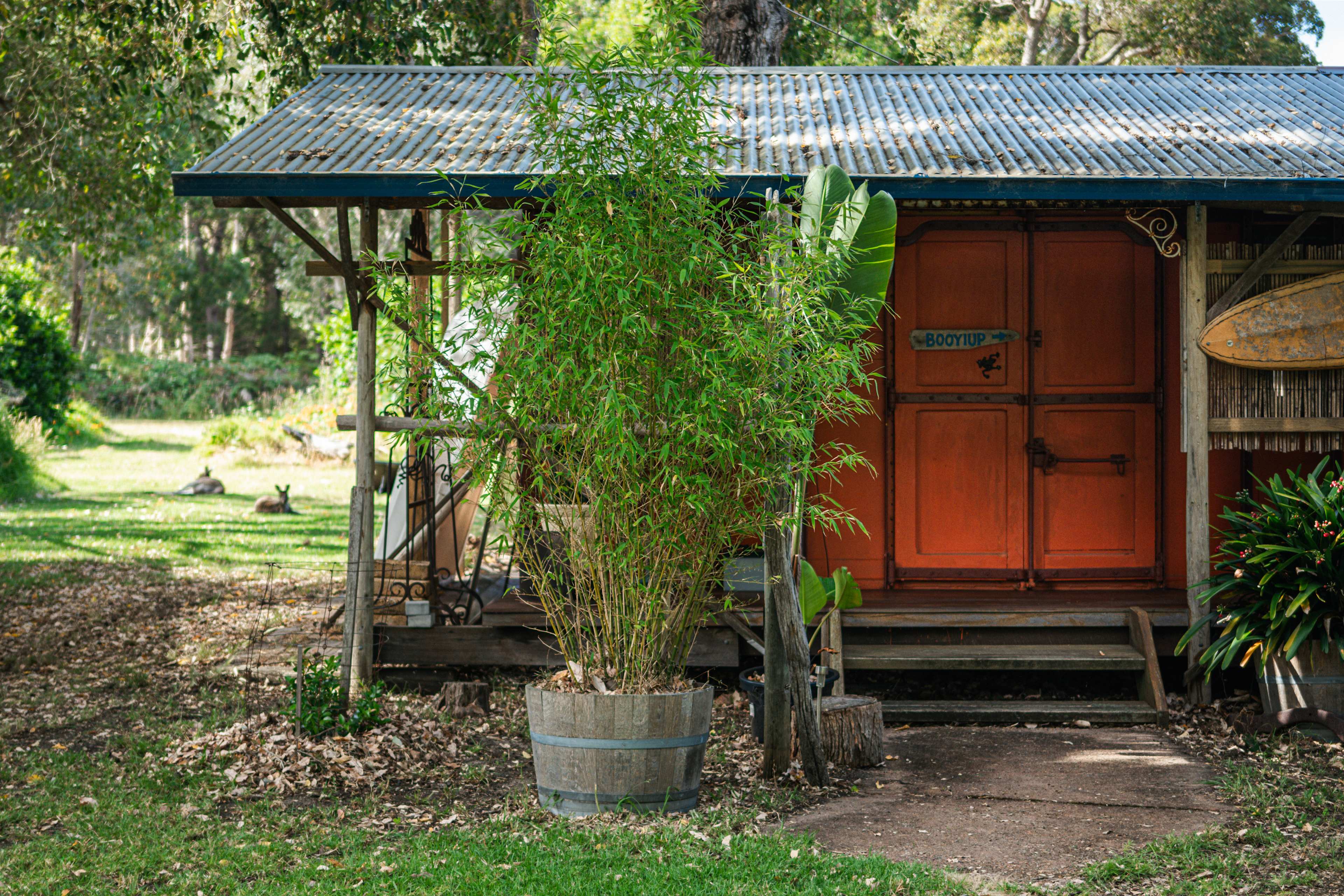 Booyiup Eco Retreat Torbay
