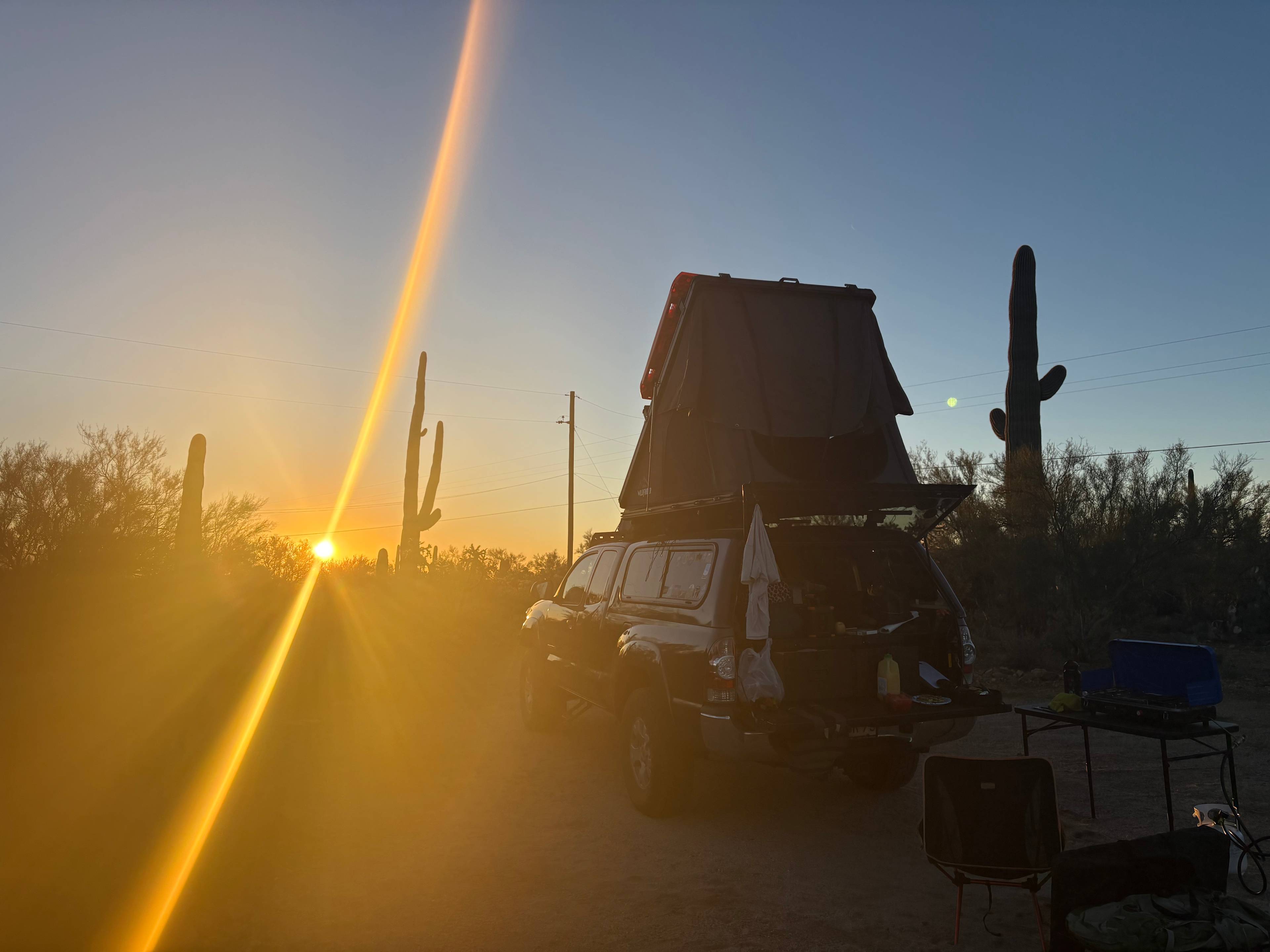 Crested Saguaro Desert Ranchita