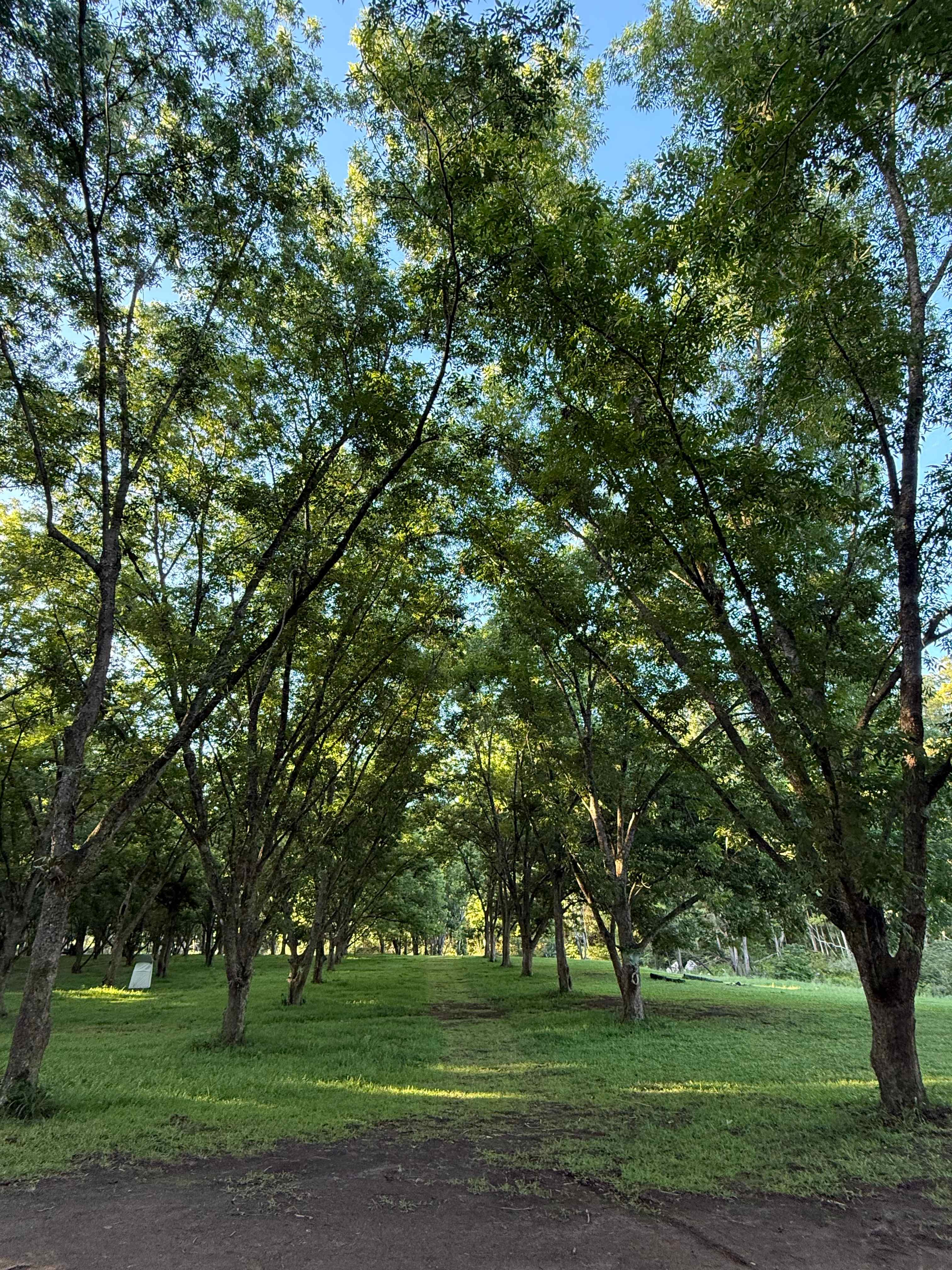Eagles Nest Hideaway, Pecan Fields