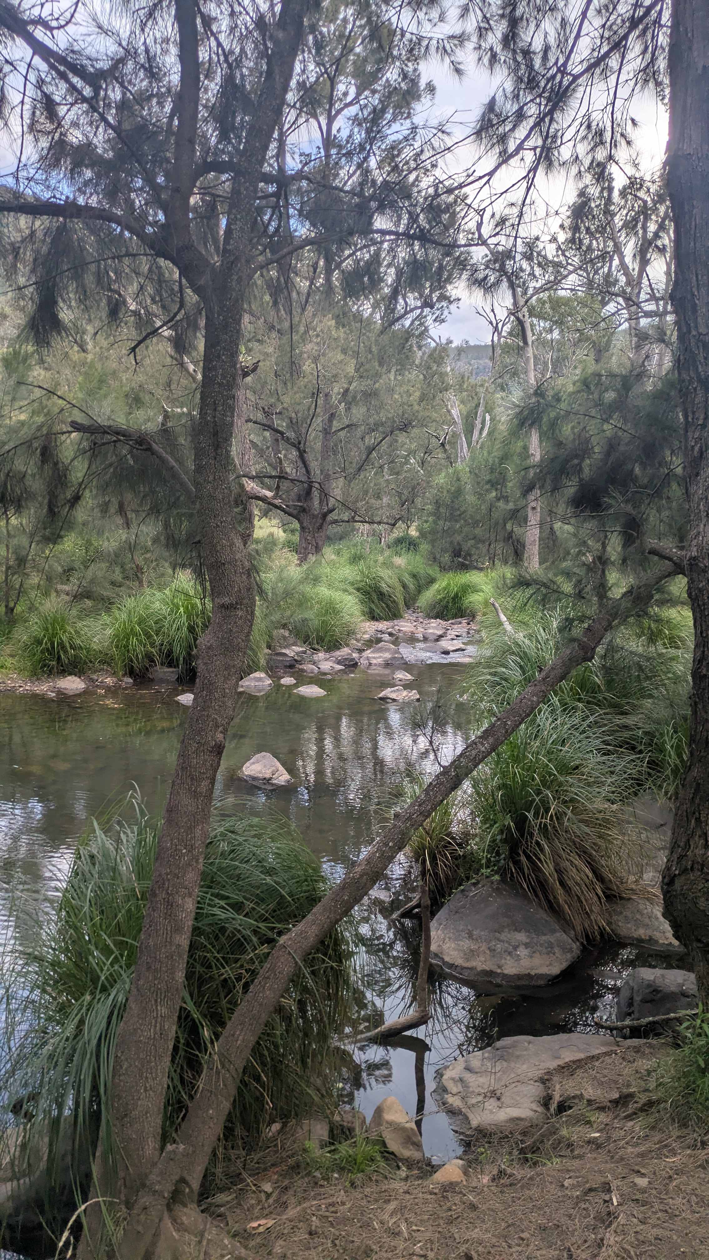 Wynola Country Cousins