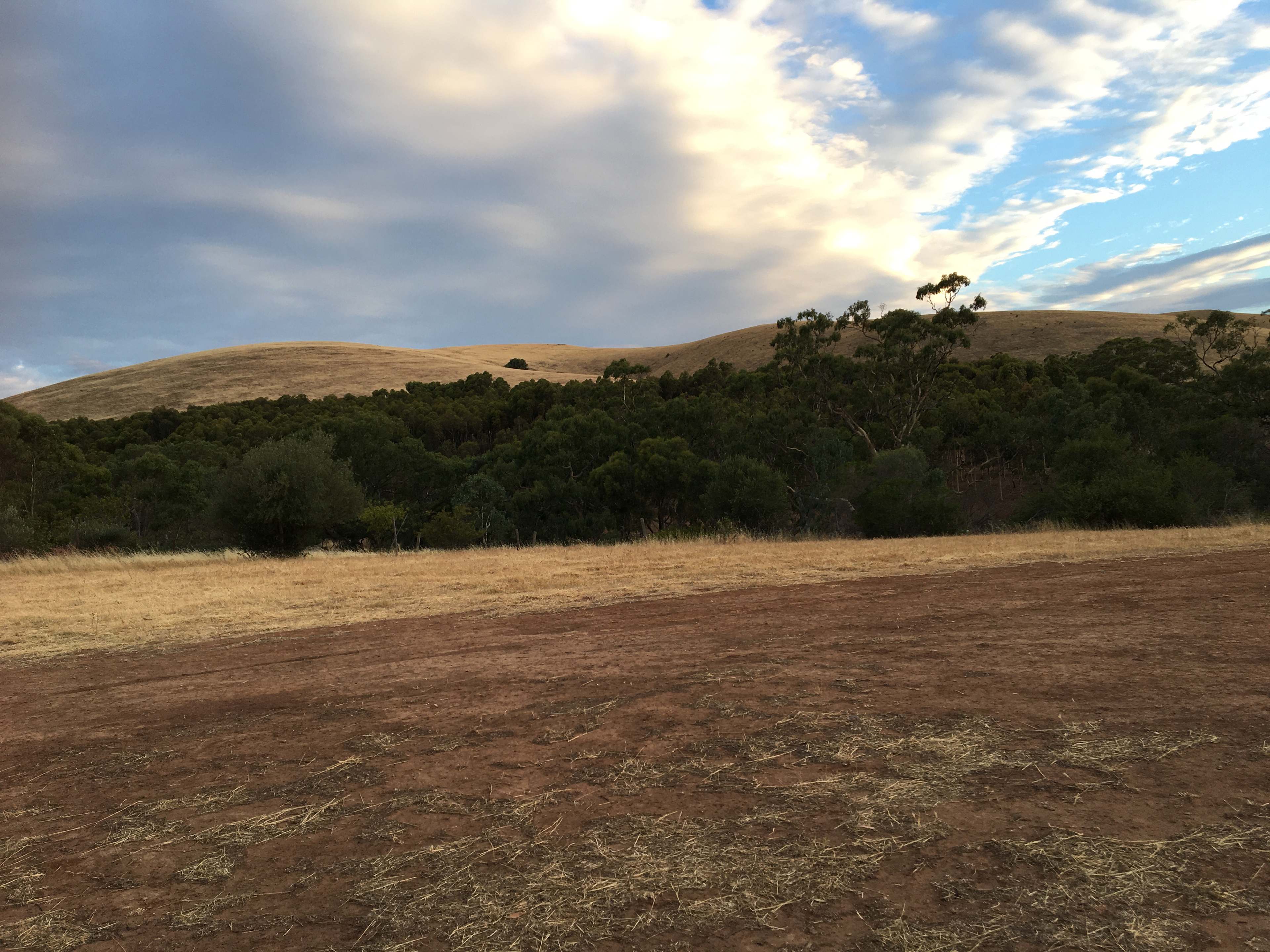 Jacob’s Creek Farm, Krondorf