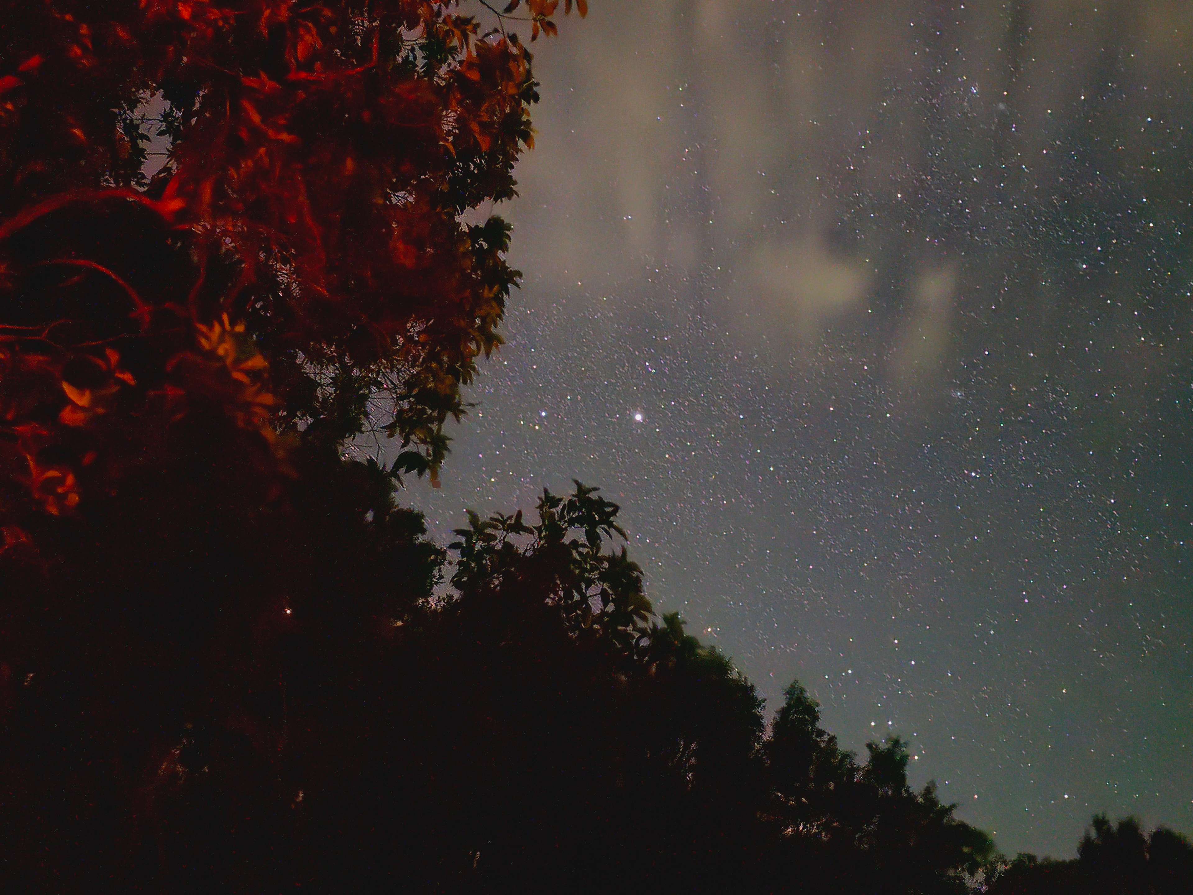Bushywood at Woodfordskilake