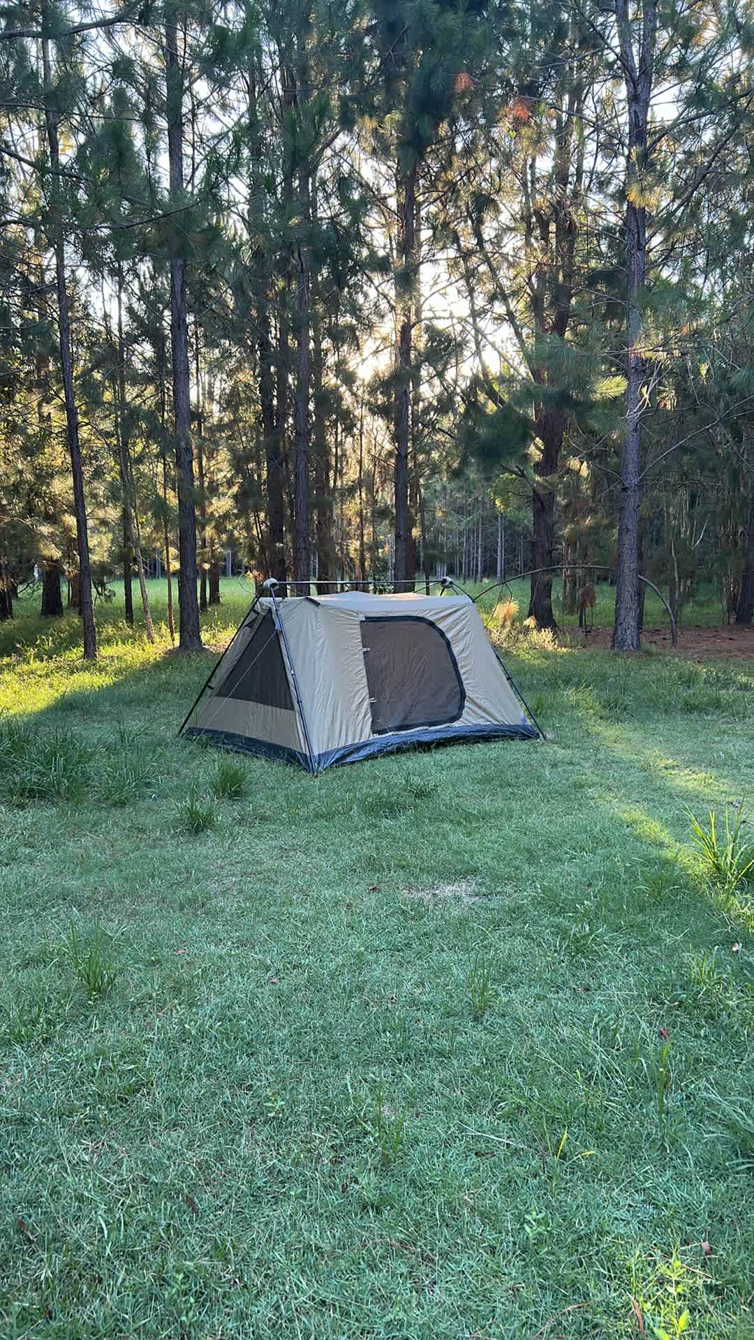 Warrego Warmblood Stud