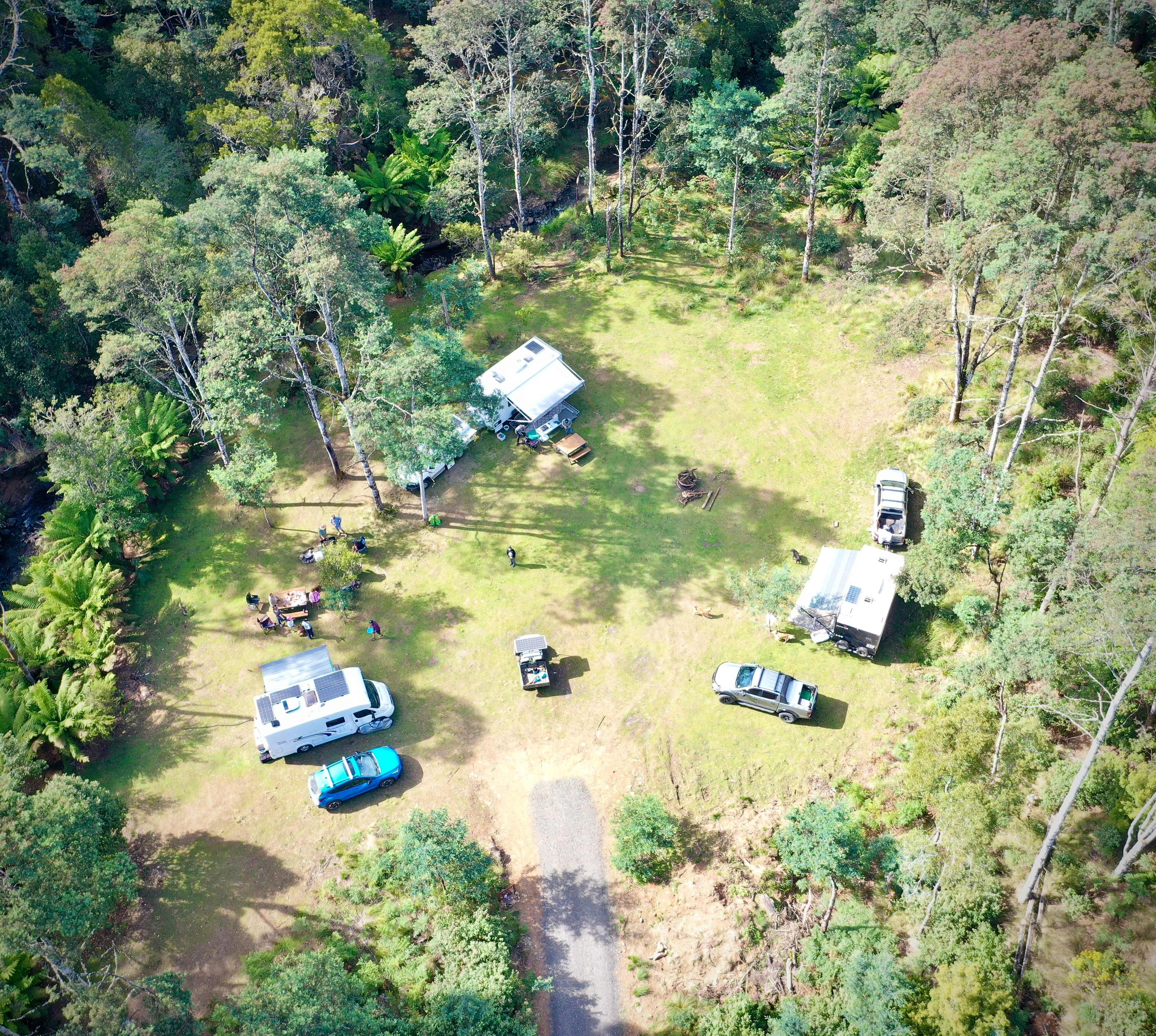 🐞🌿 Ladybug Camping 🌿🐞