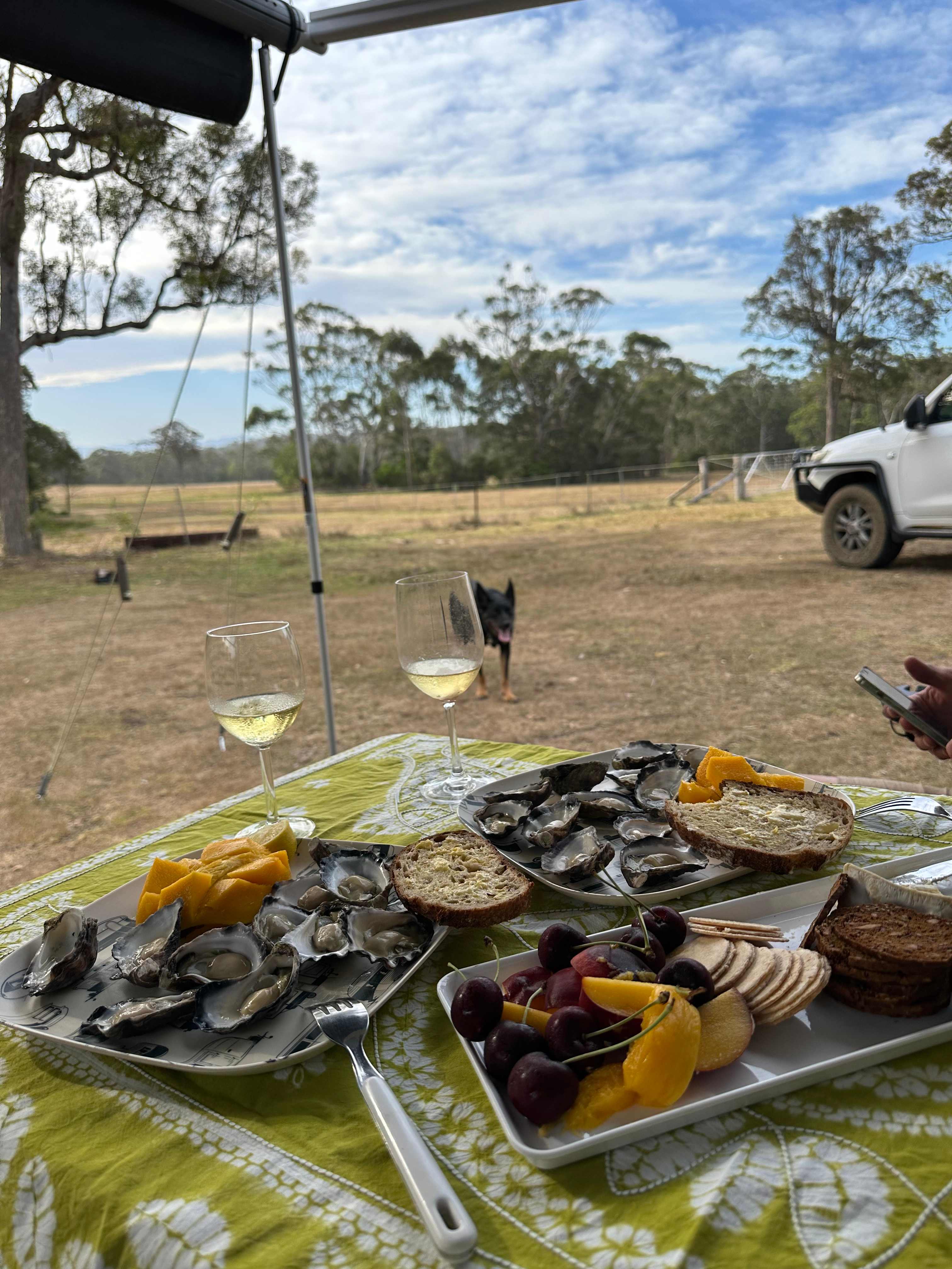 Enjoying the serenity in the corner paddock