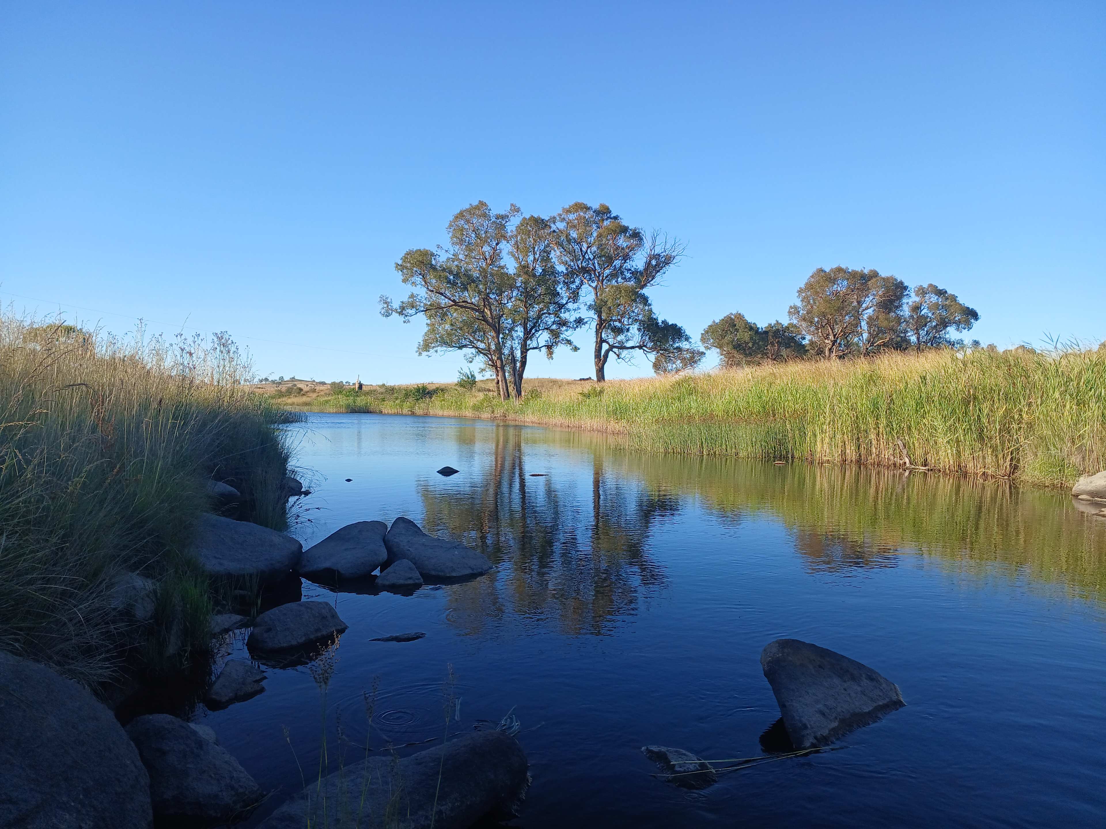 Sunnyside - Banks of Severn River