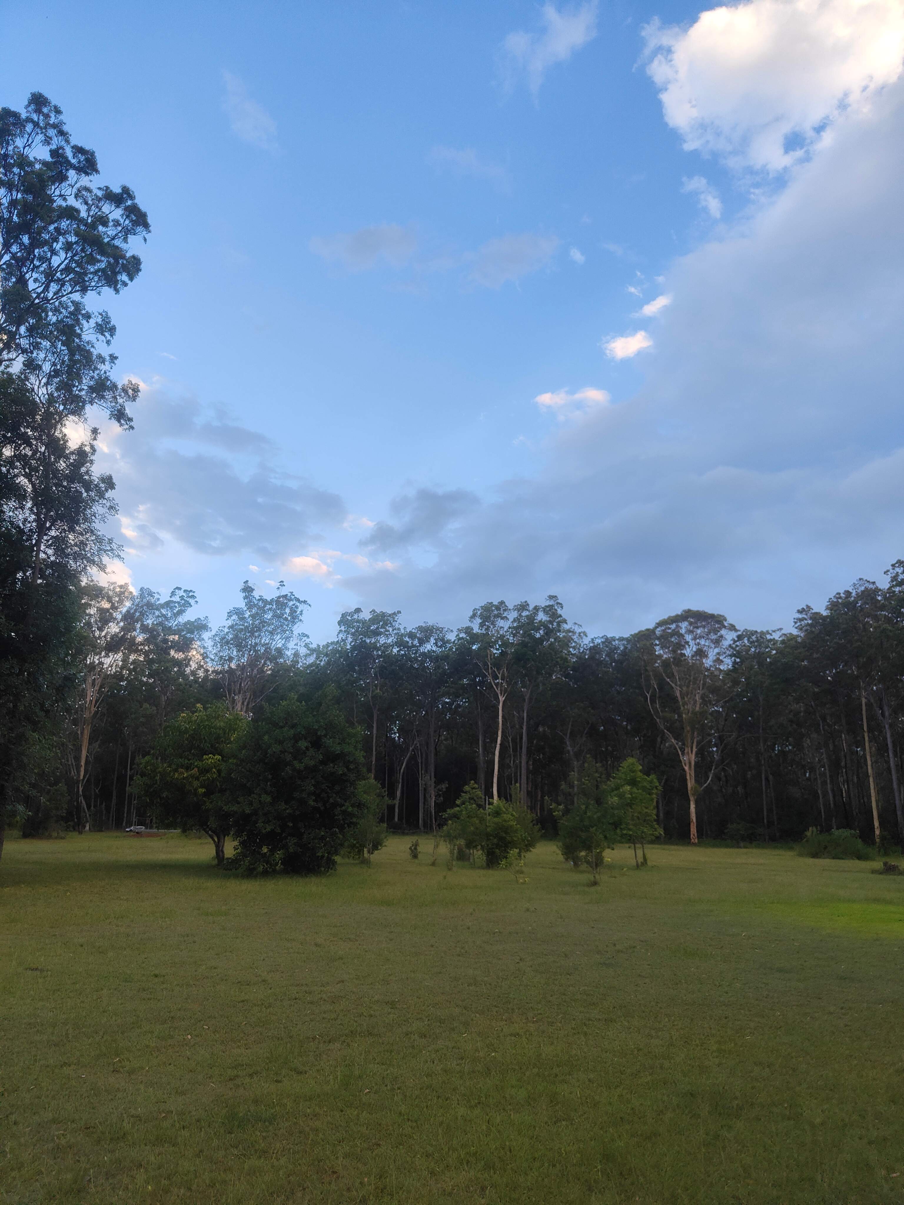 BUNGAWALBIN WILDLIFE RETREAT