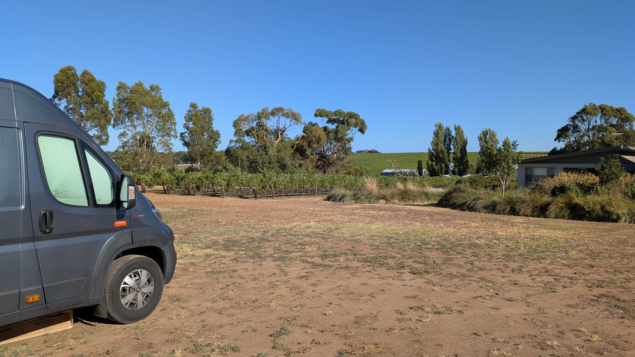 McLaren Vale Vineyard