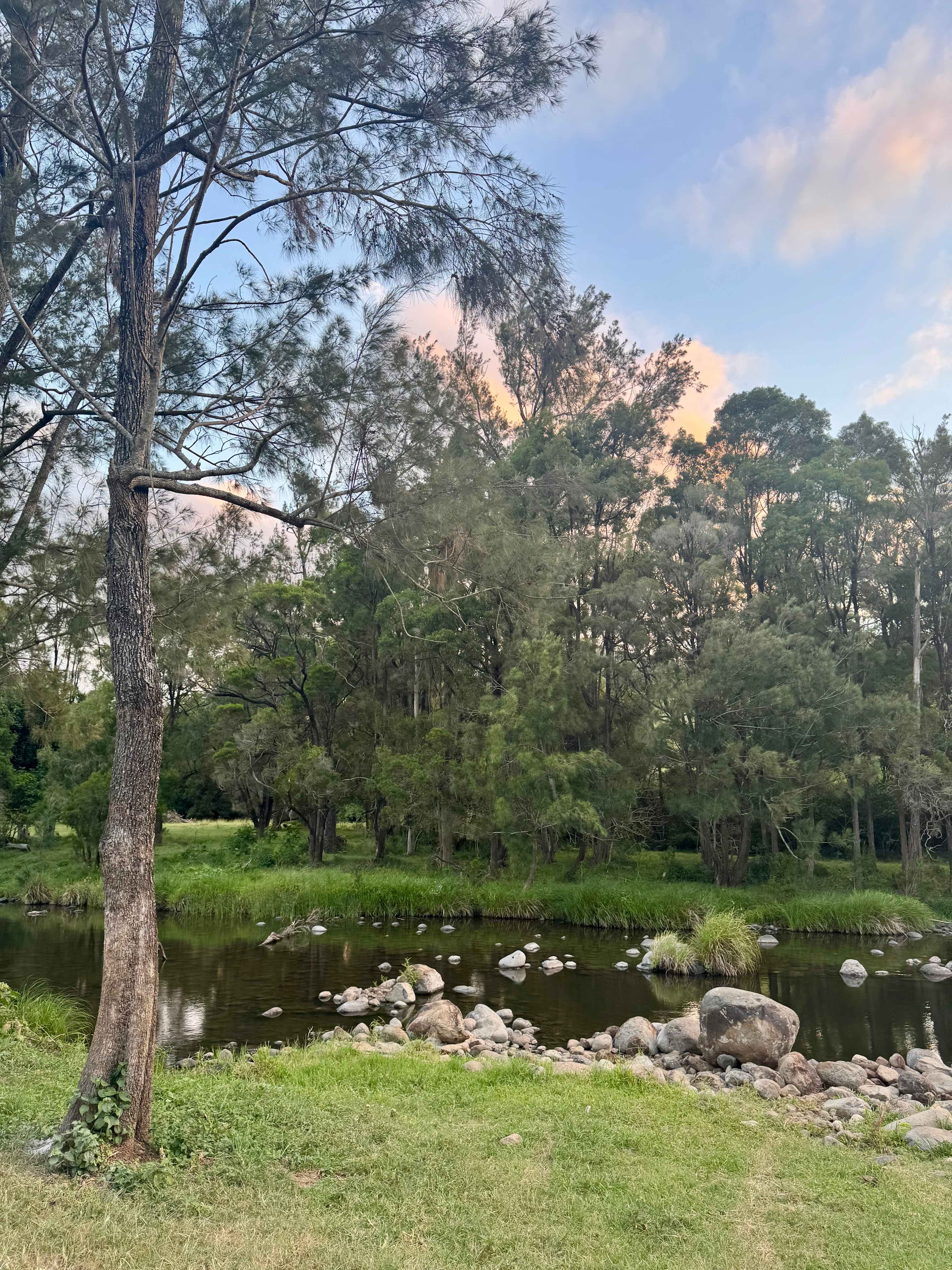 Sarabah Creek Camping