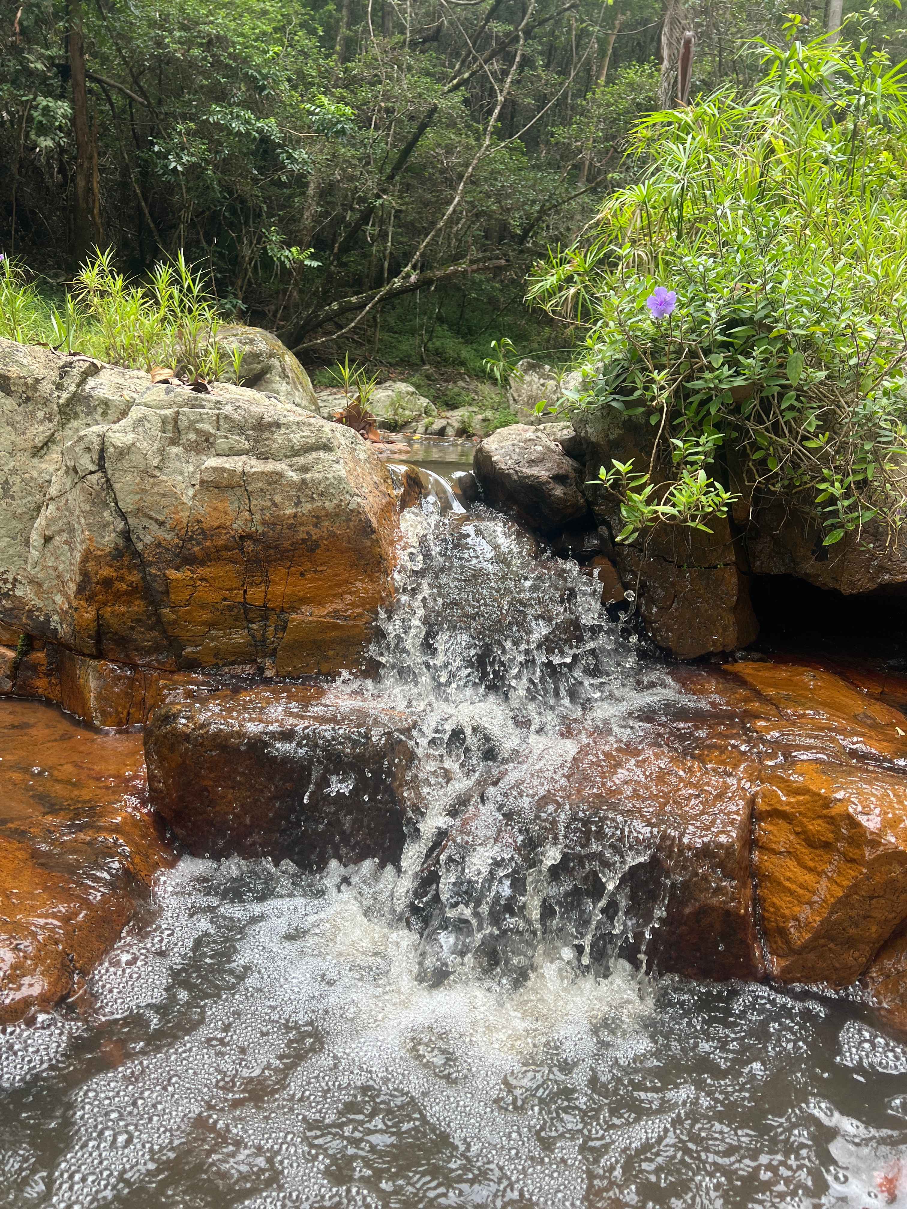 Chacara Creekside Camp