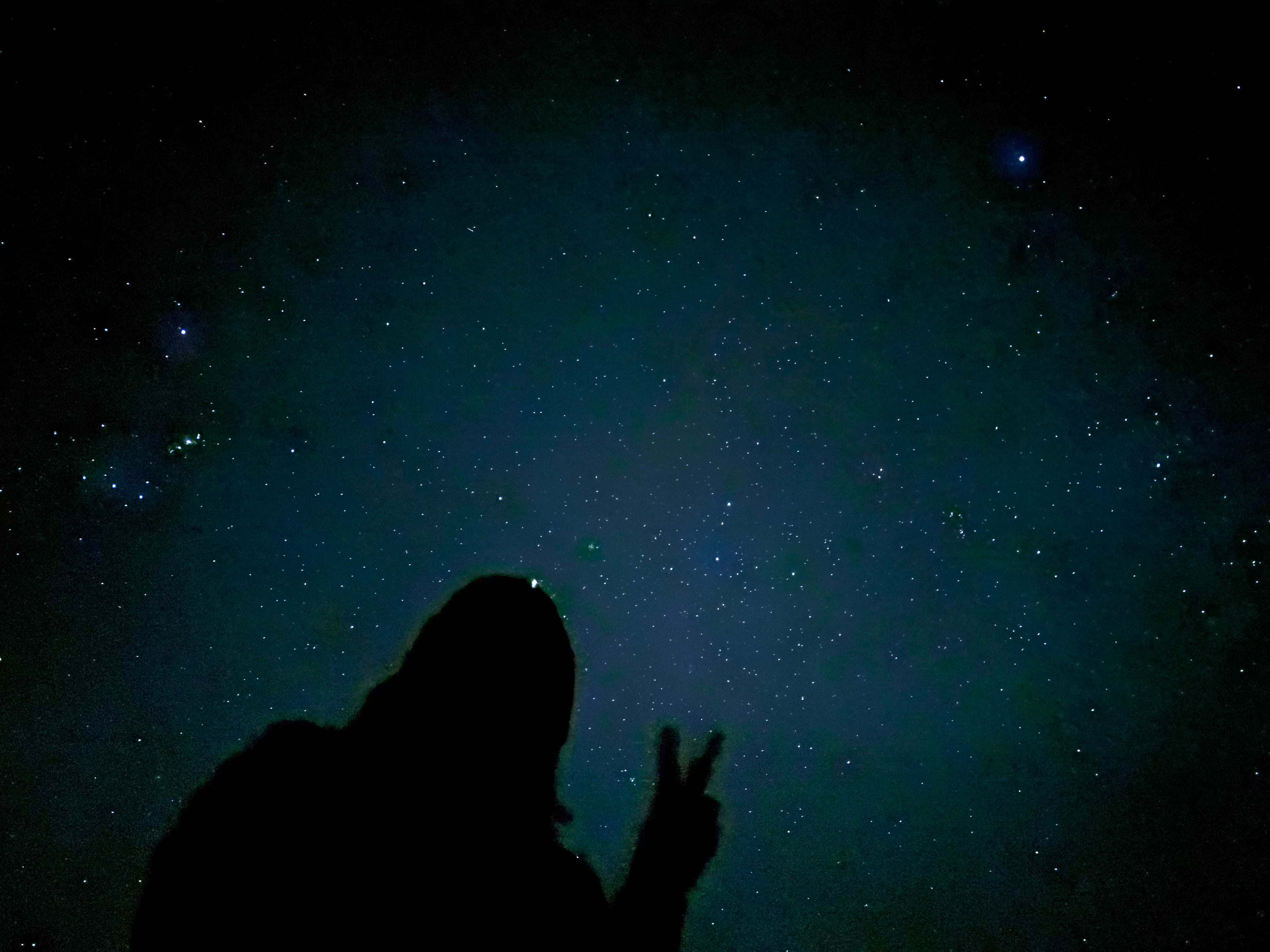 Mountain Flower Farm