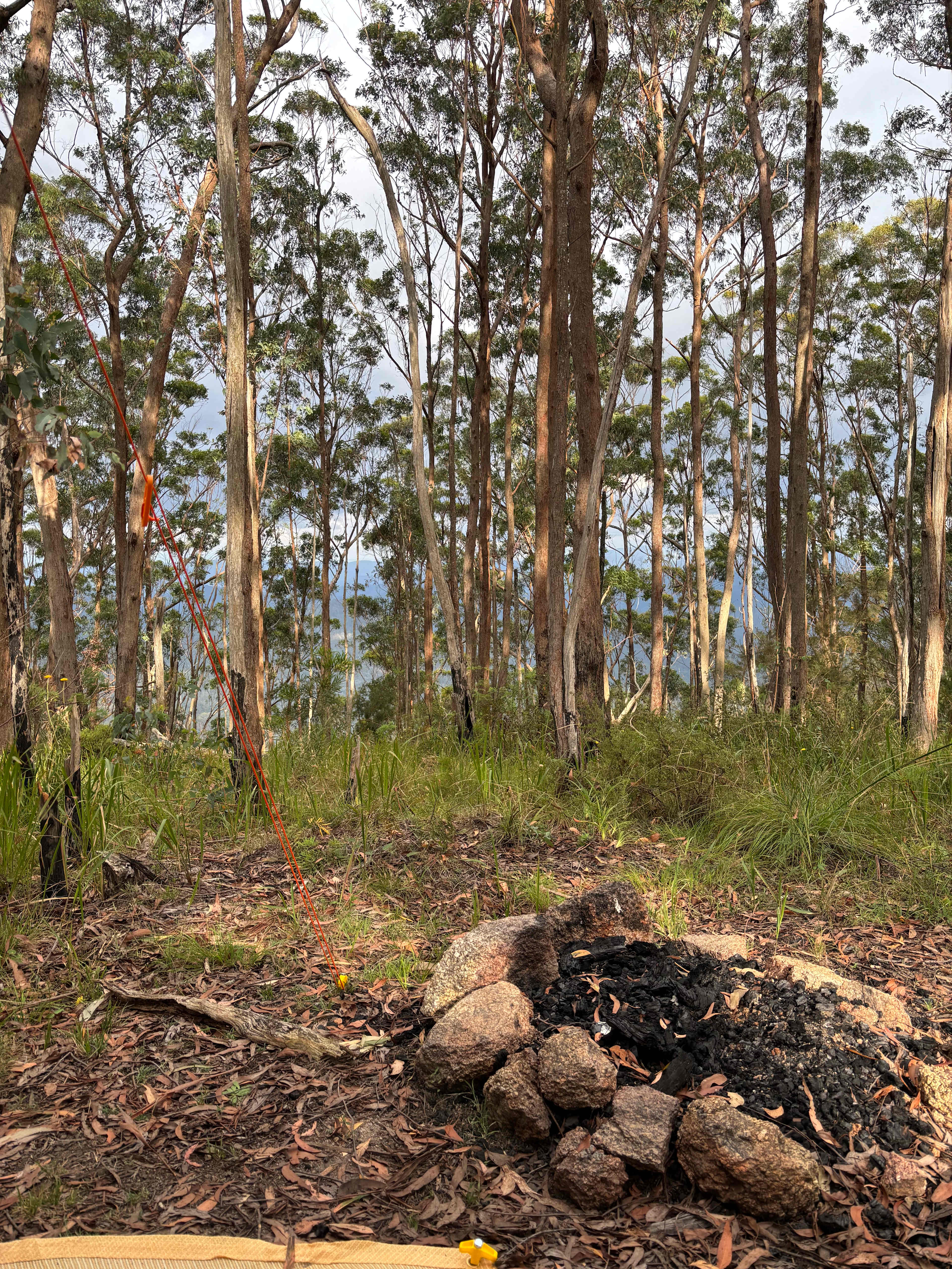 Stonepine Ridge 'where eagles fly'