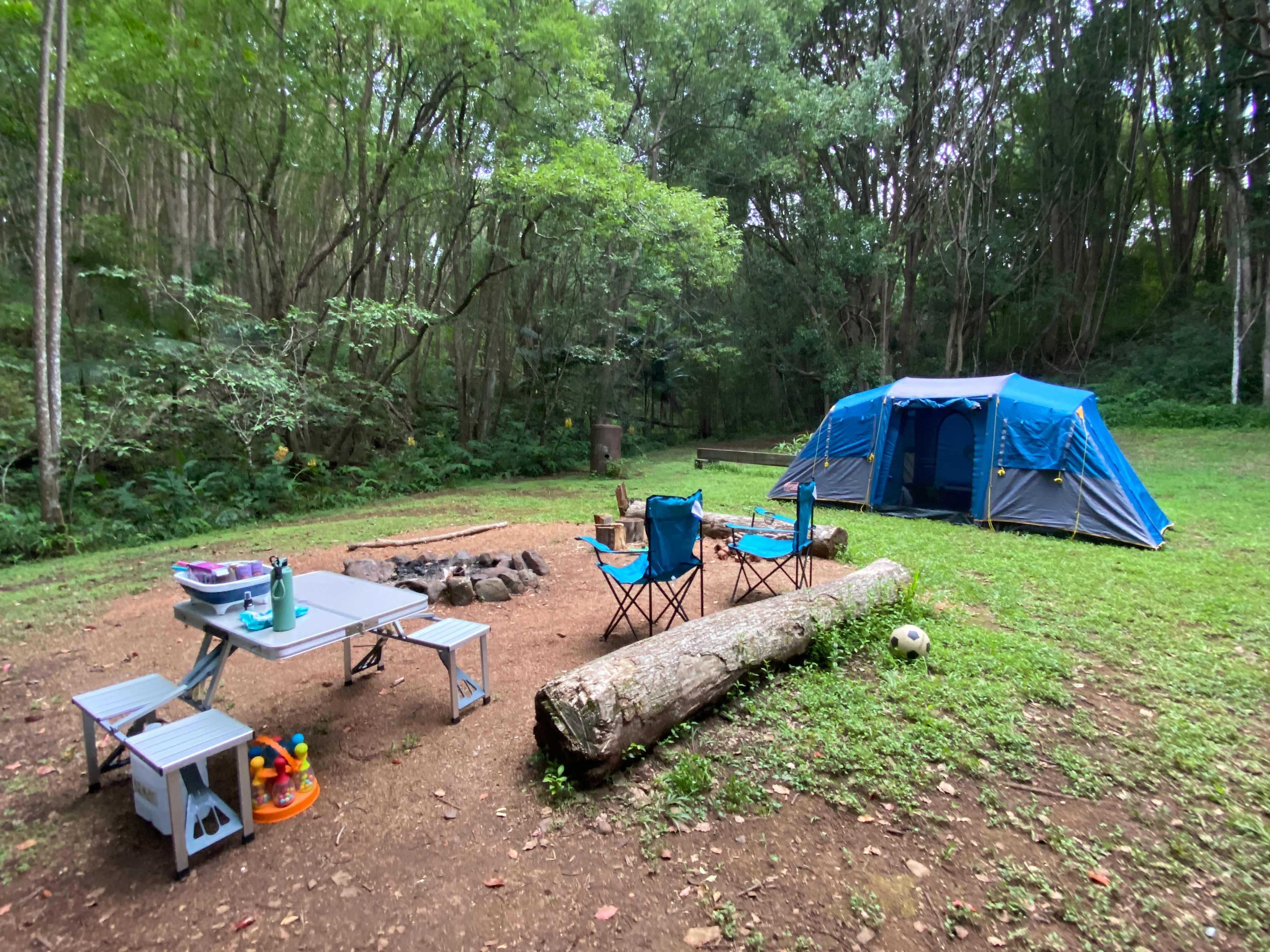 Fern gully Creek, Coorabell