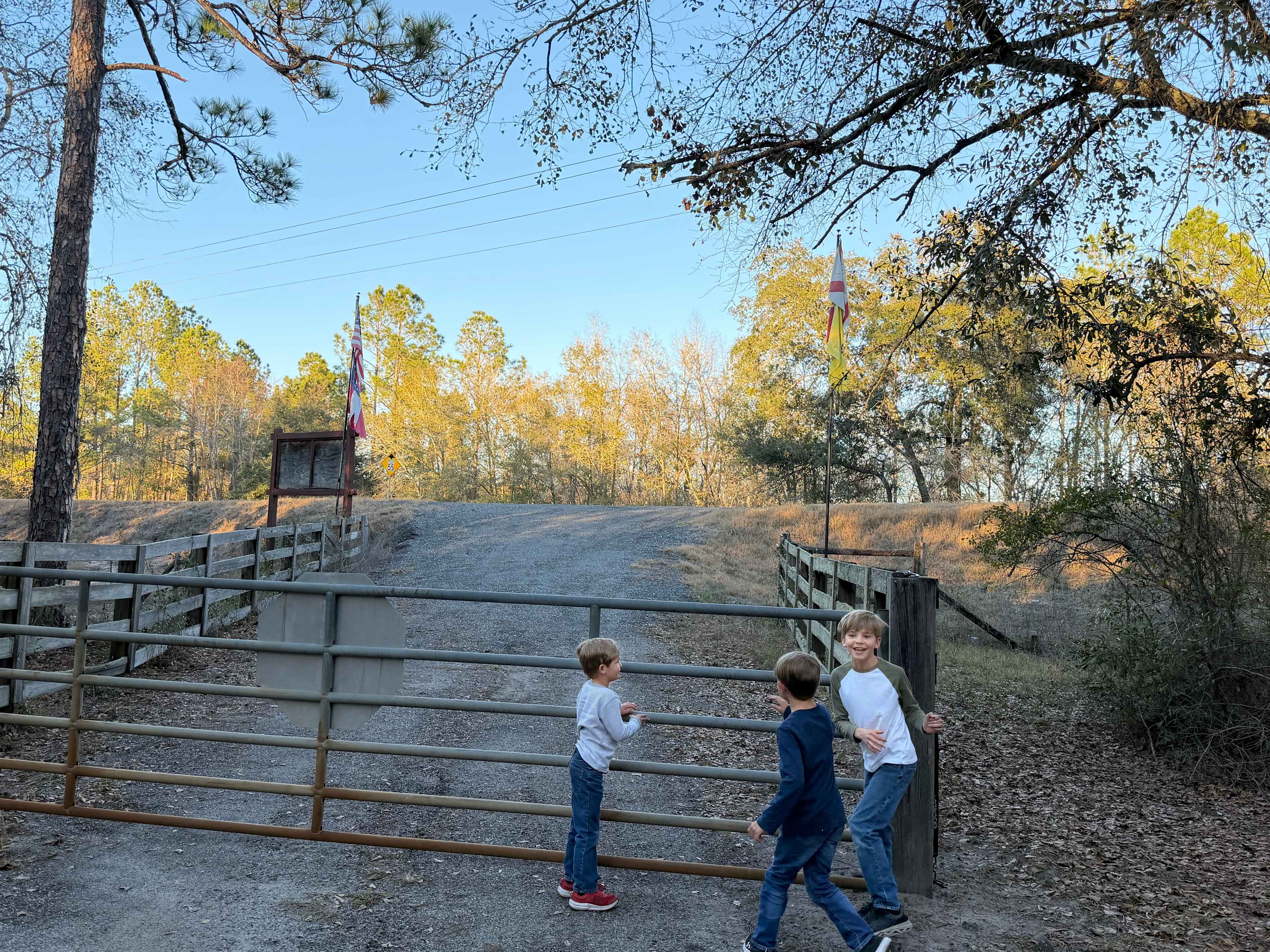 Entrance gate onto the property.