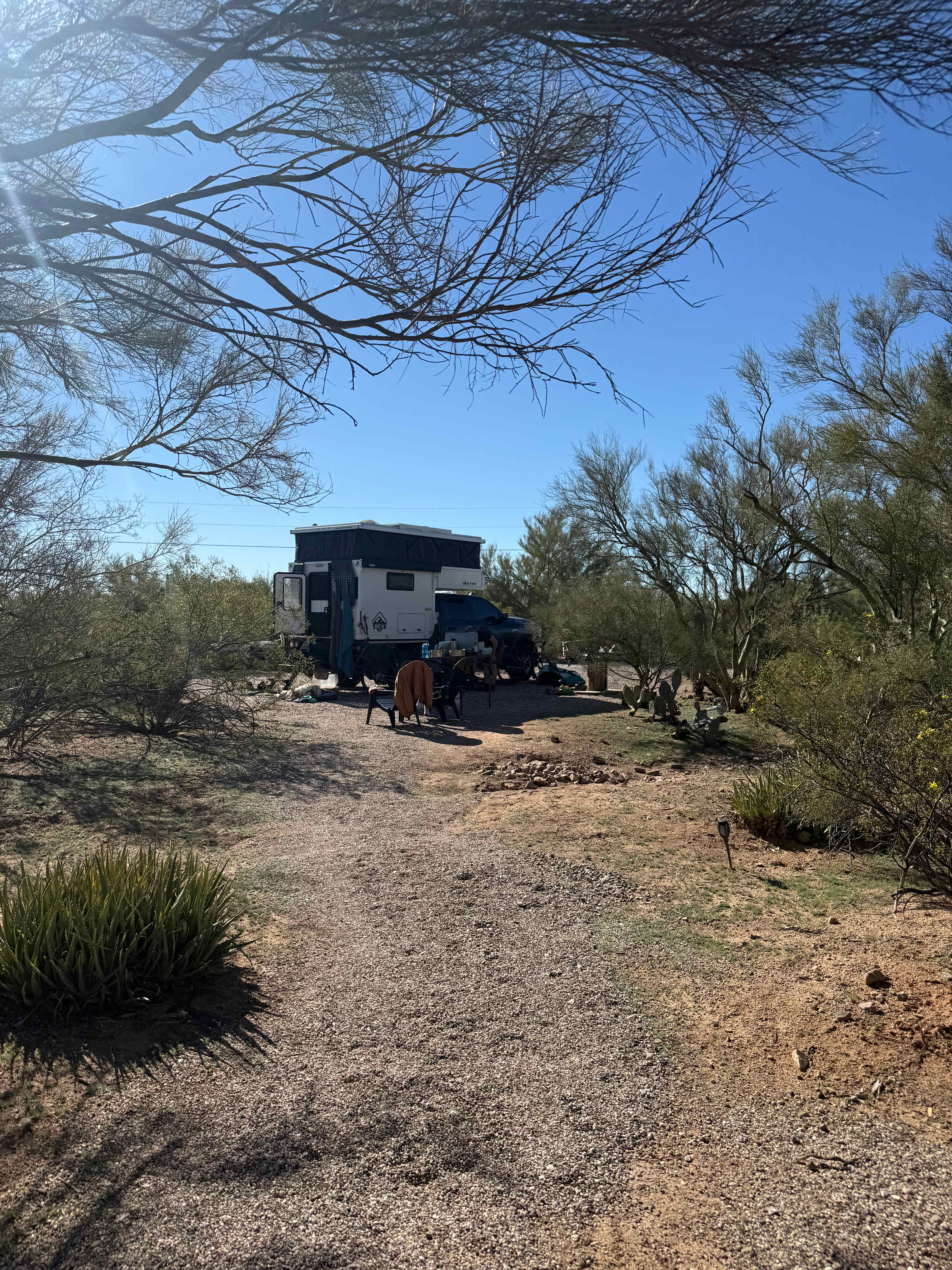 Camp Saguaro