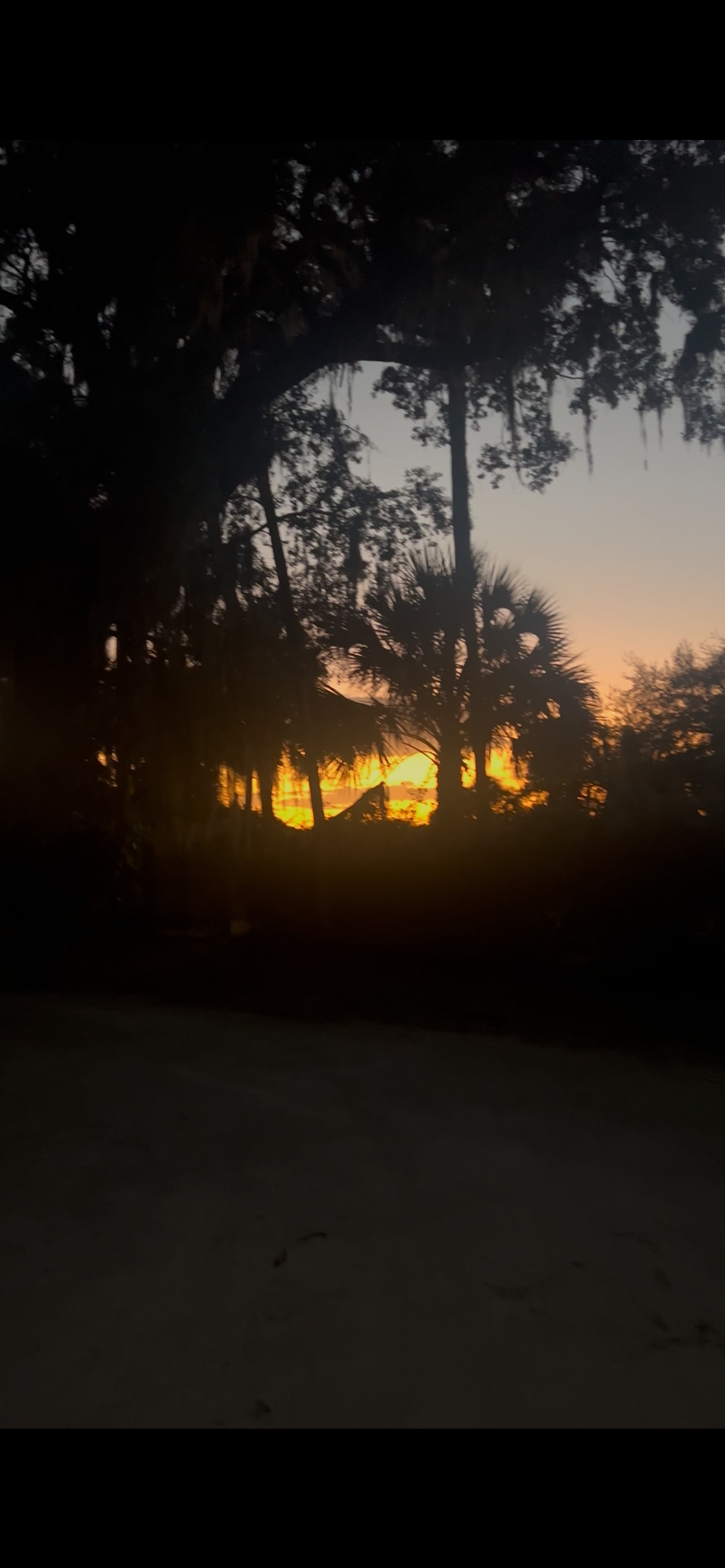 Taste of Old Florida