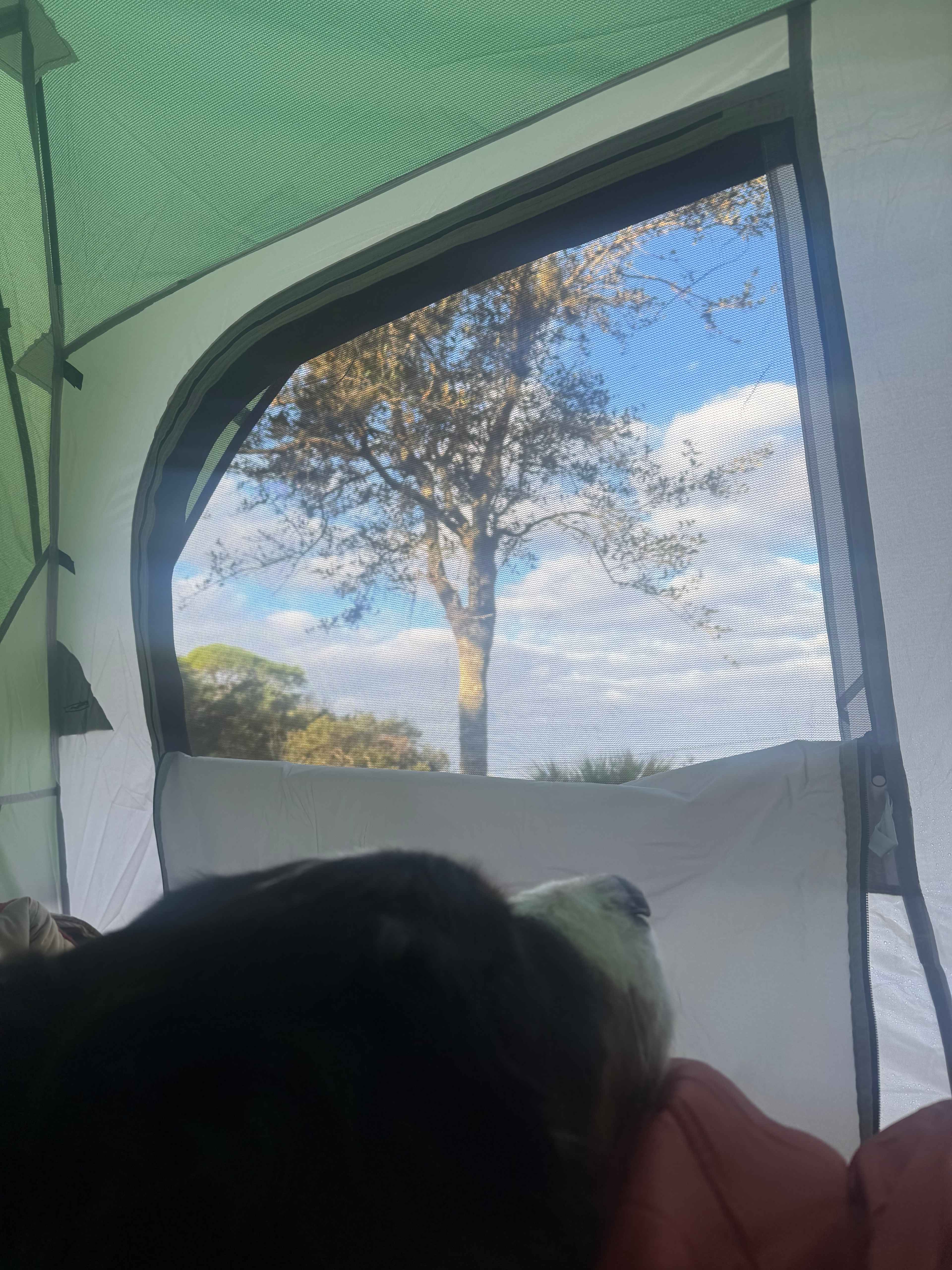 Taste of Old Florida