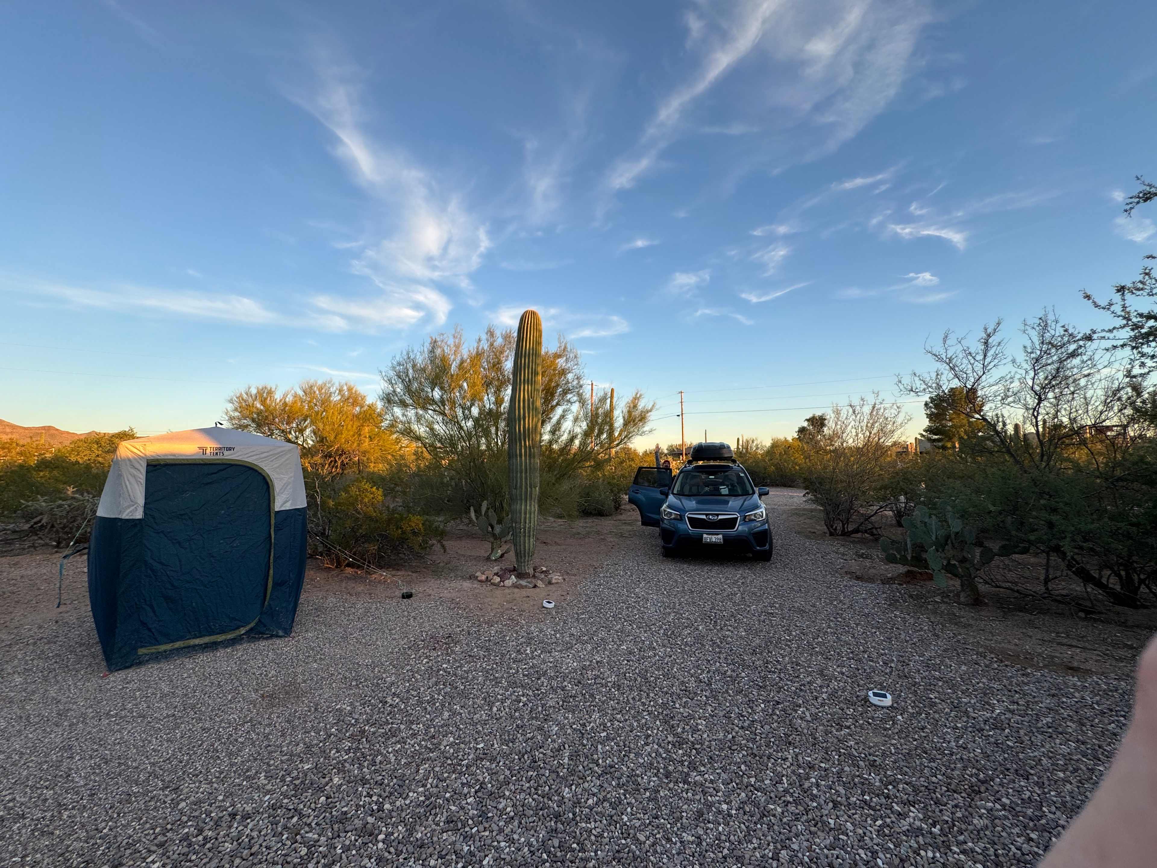 Camp Saguaro