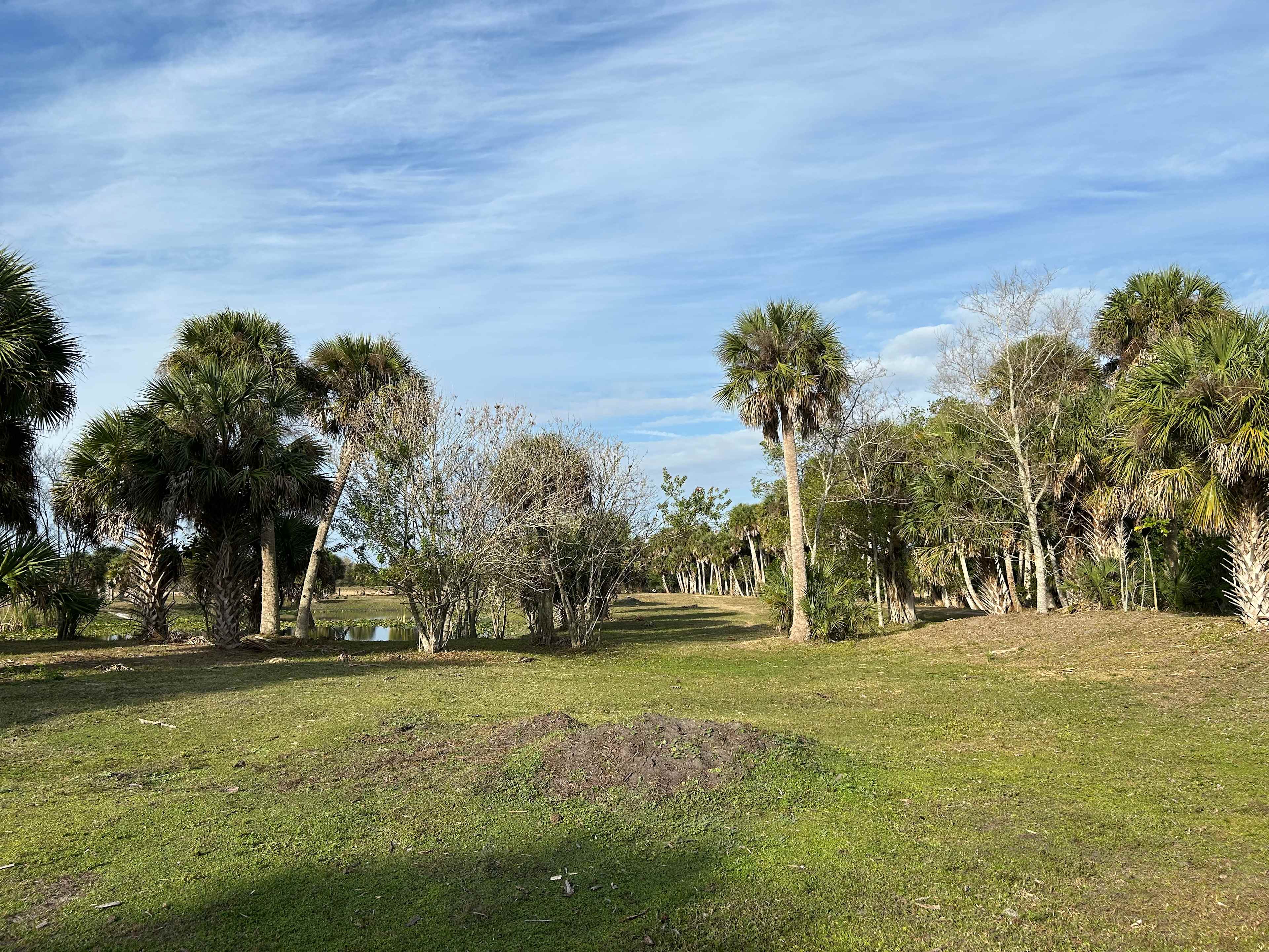 Blue Fox Ranch: Lake & Farm Camp