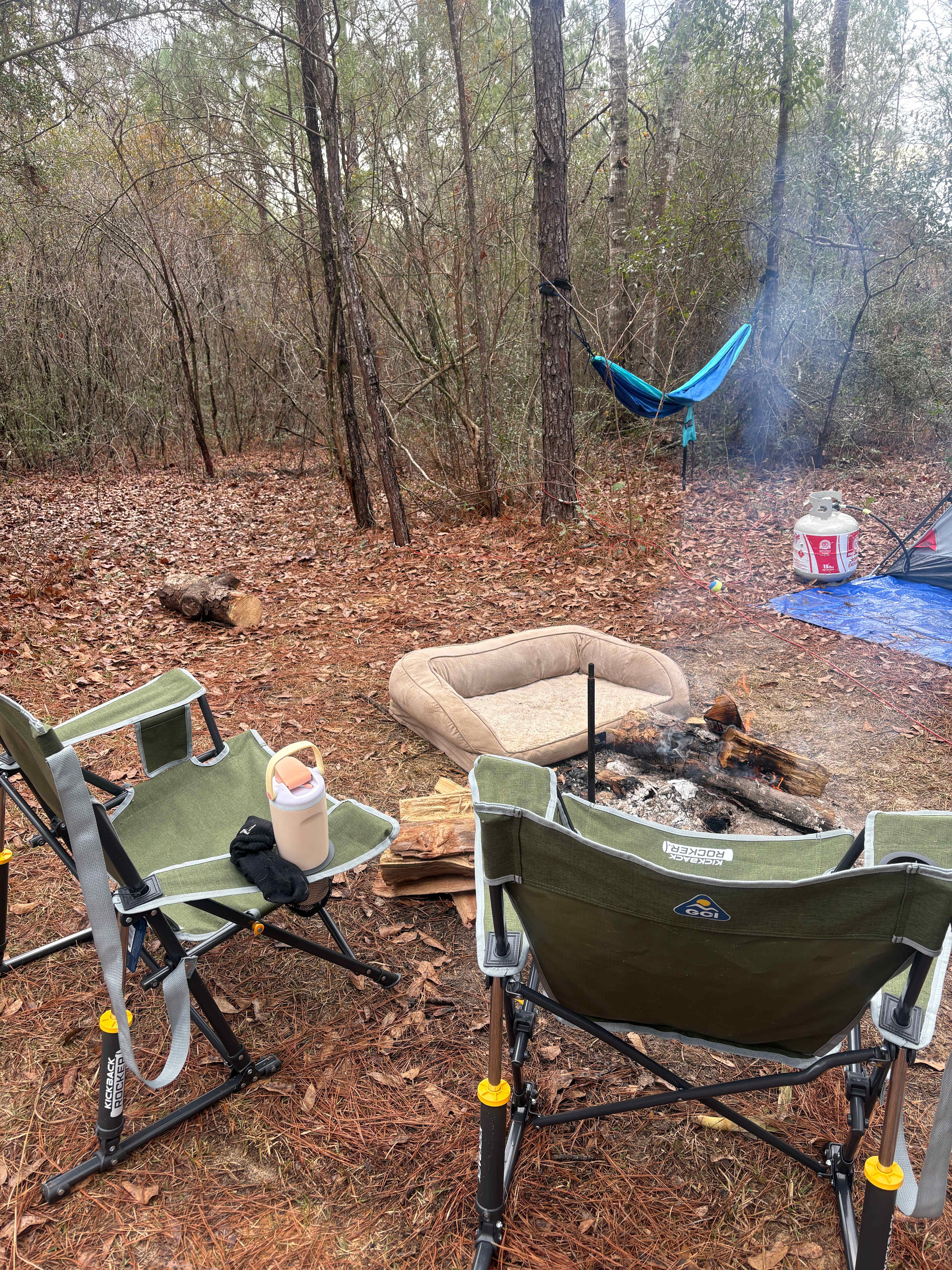 All You Need Institute