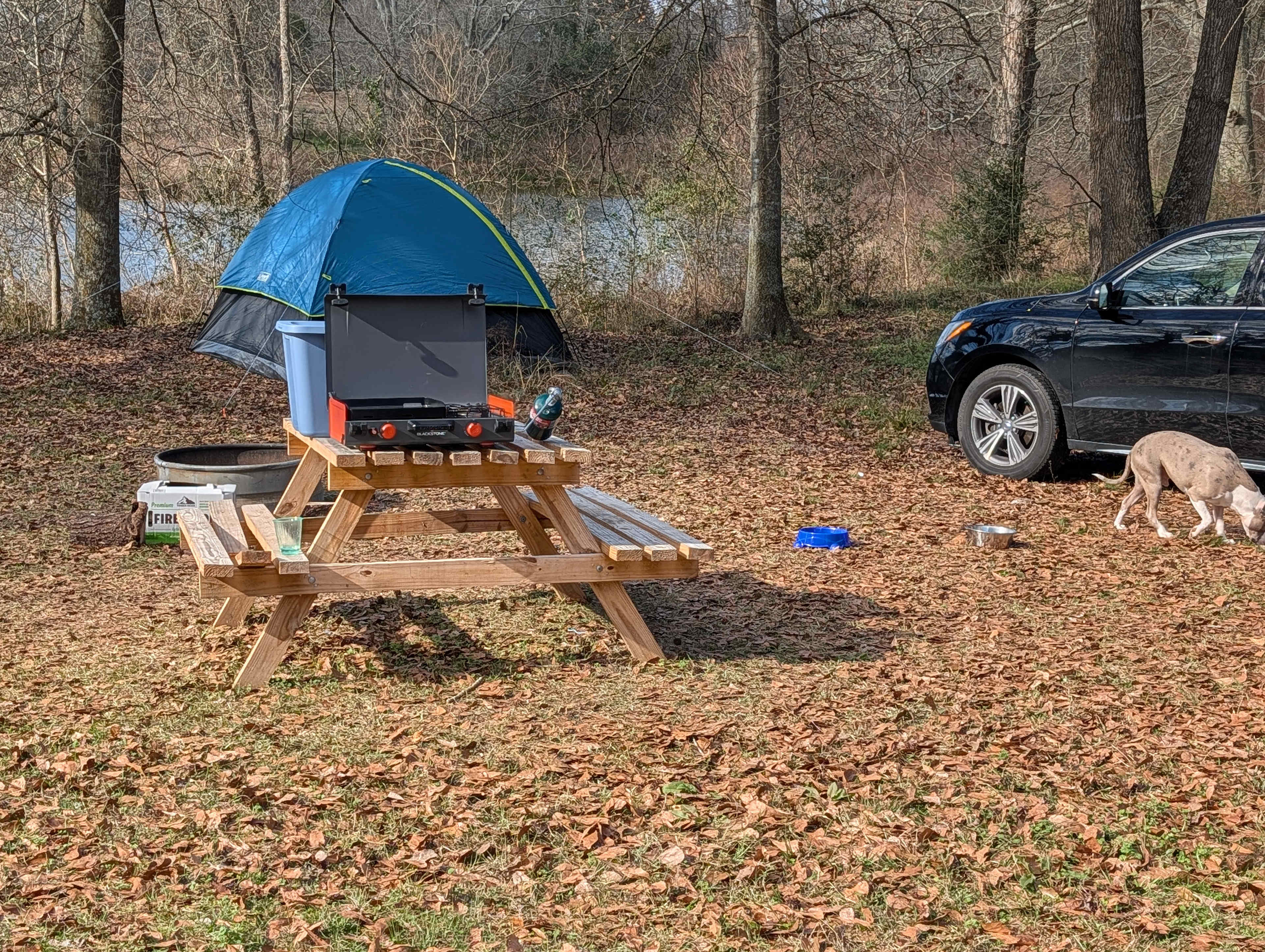 Pondview Acres Campground