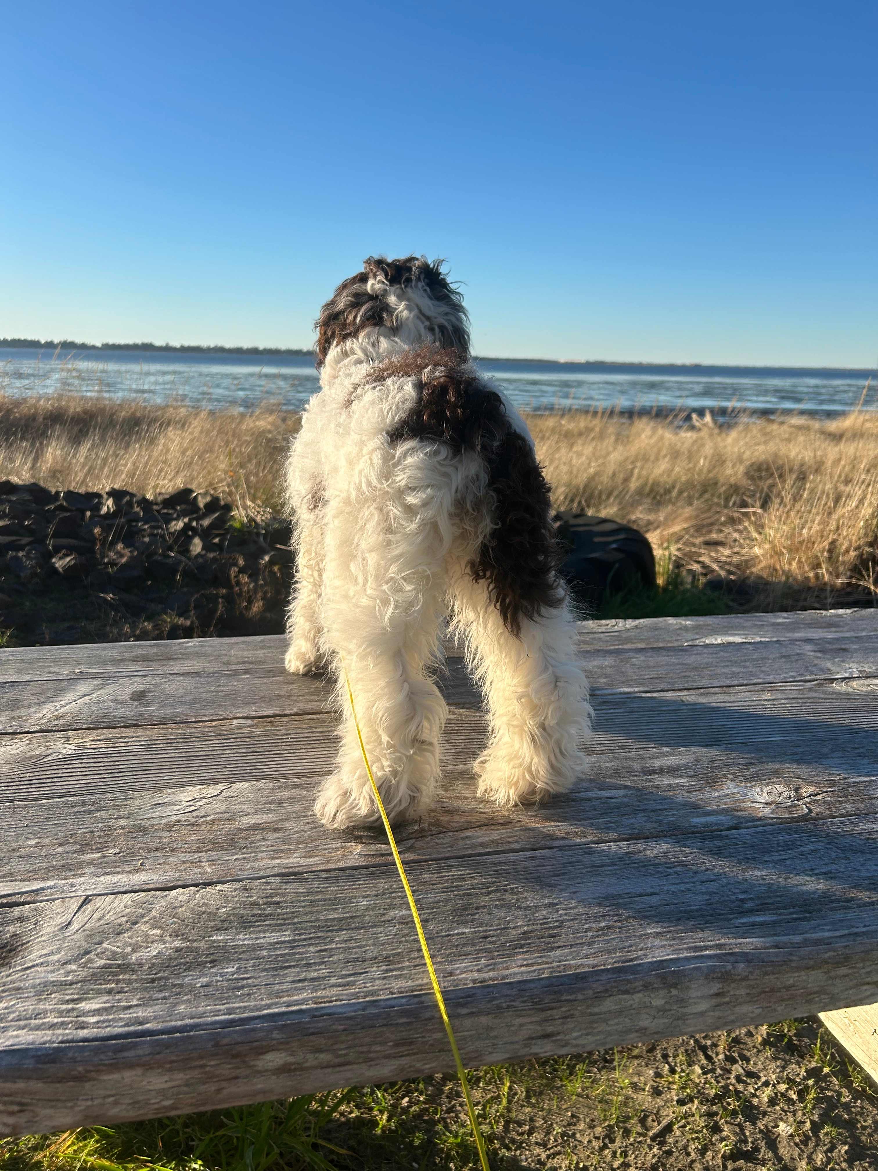 Unique Bay Front Camping - RV ONLY