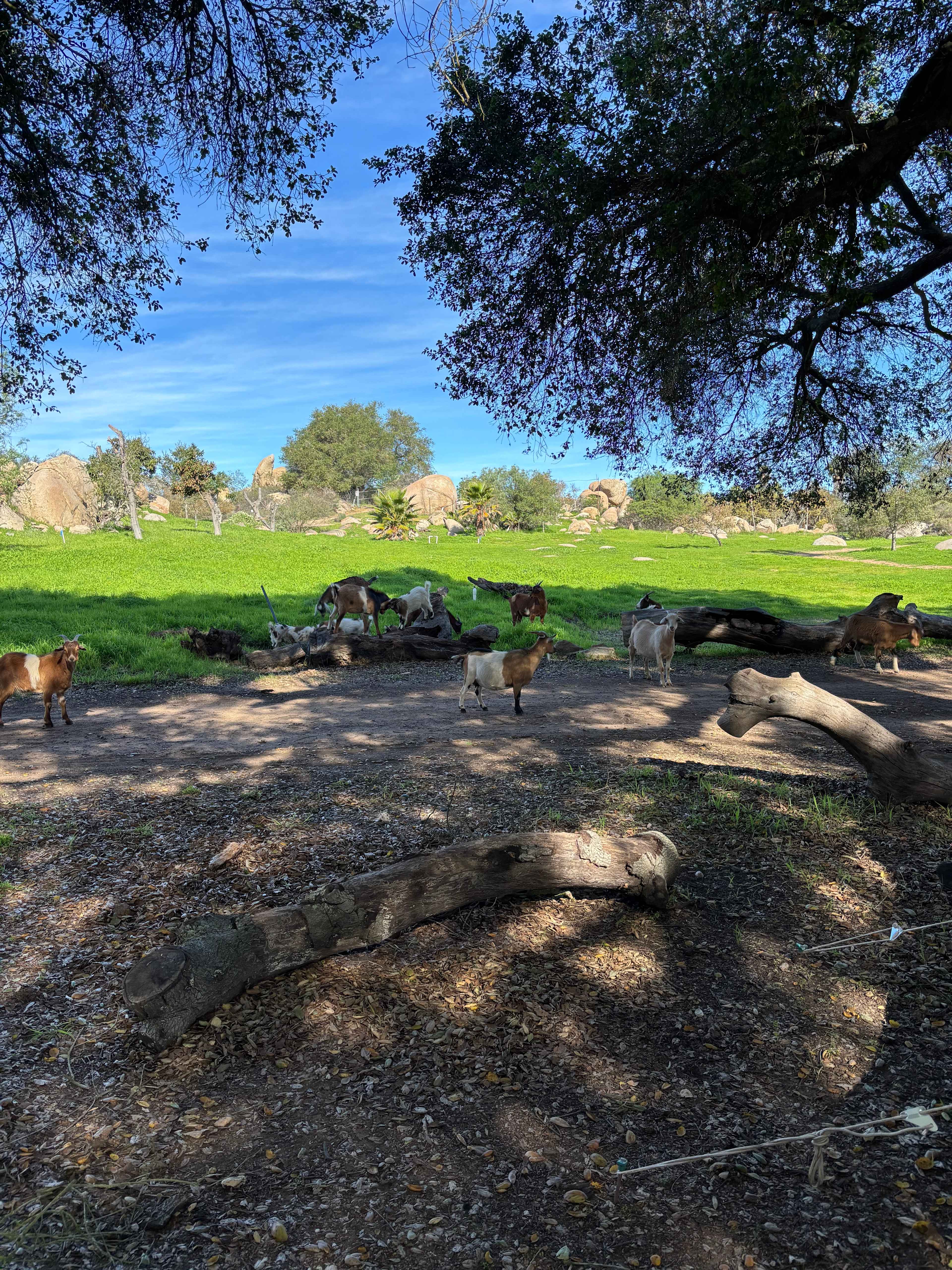 Splitrock Farm and Retreat