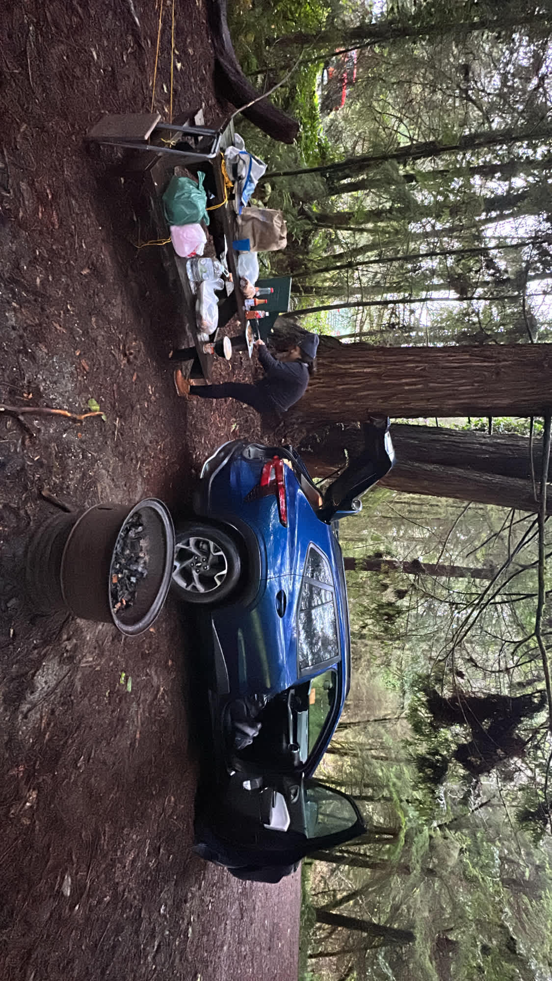 Mystic Forest Campground