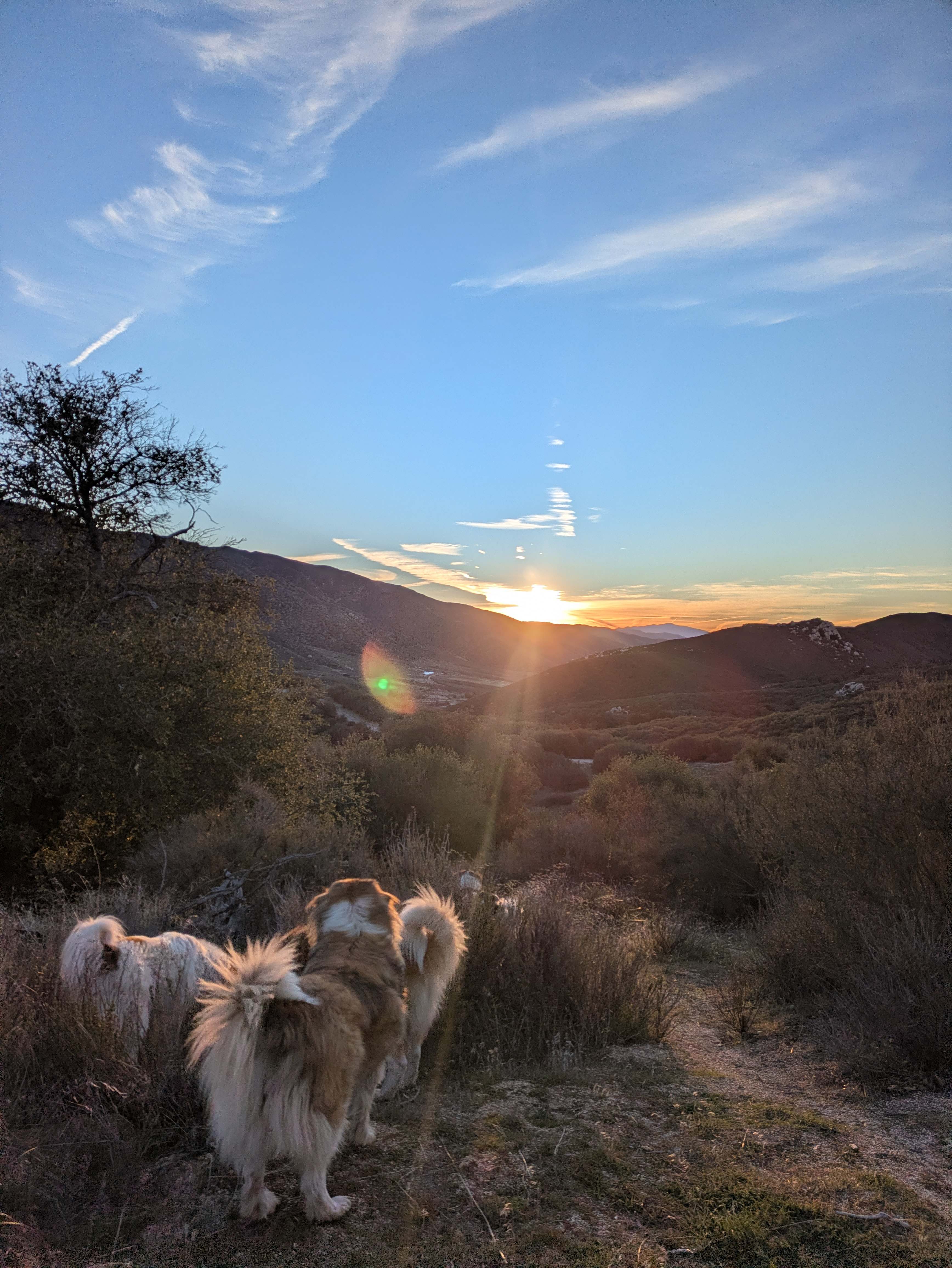 Loomerland Ranch and Retreat