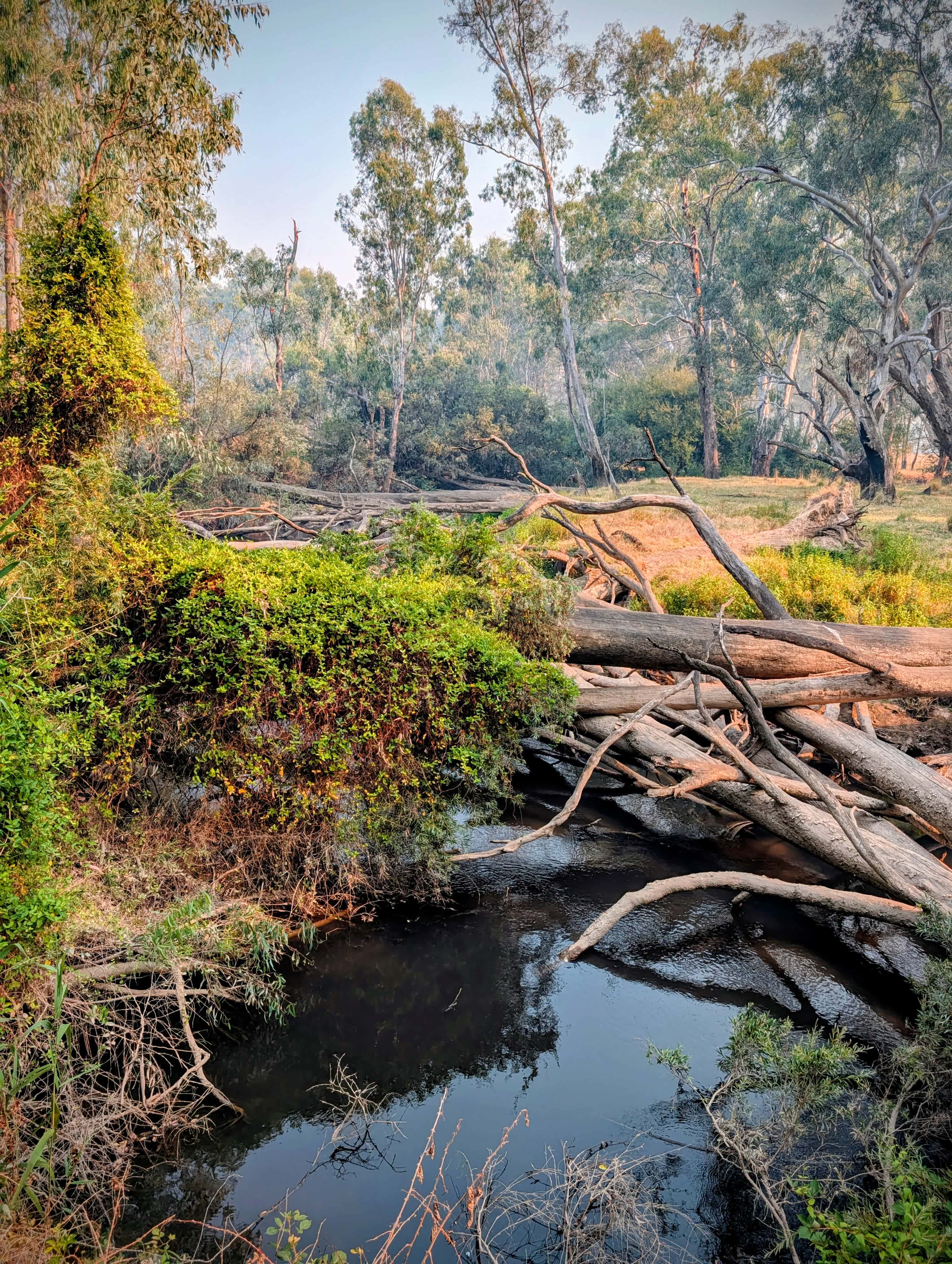 Billabong Flats Farm