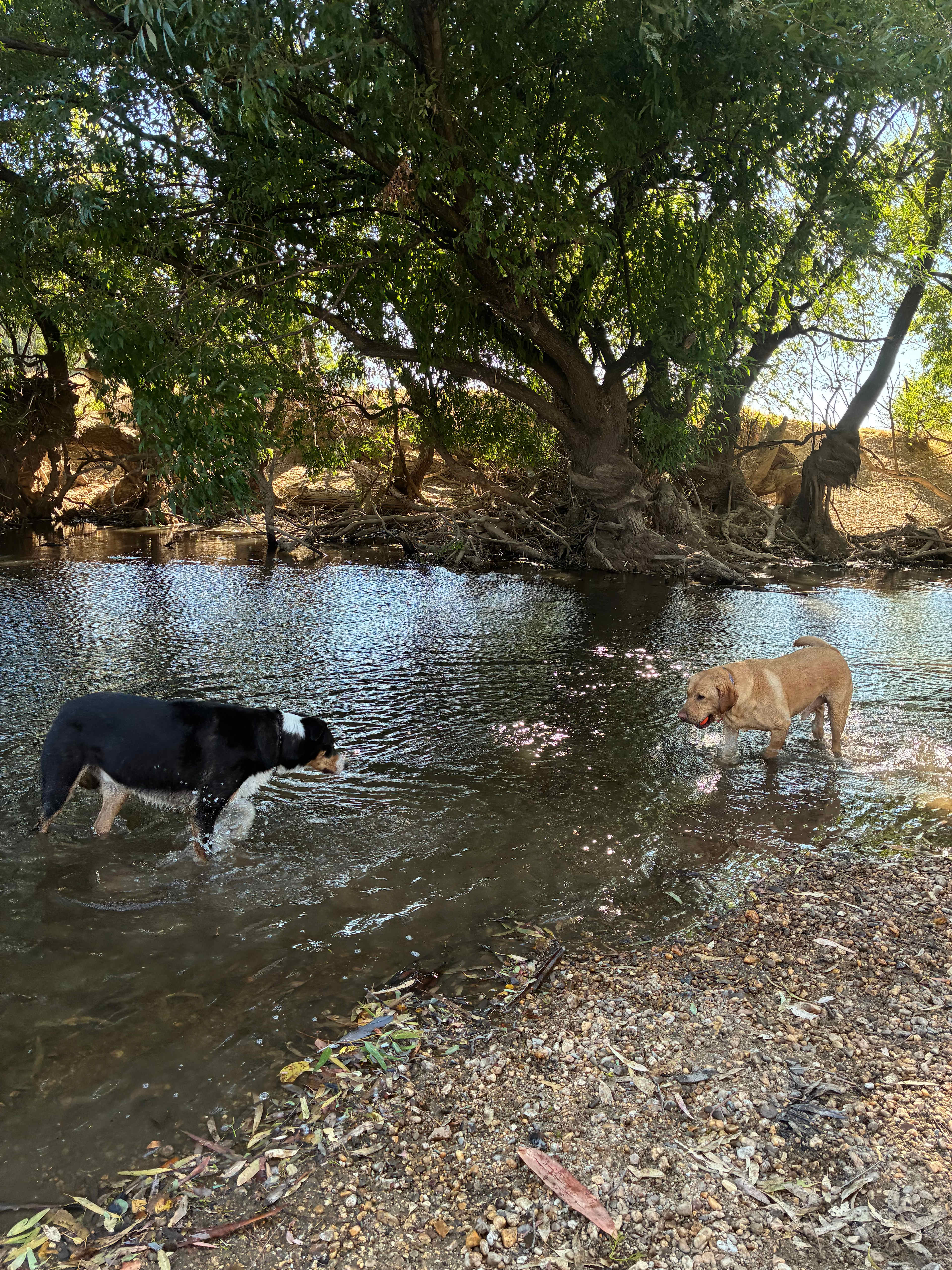 Billabong Flats Farm