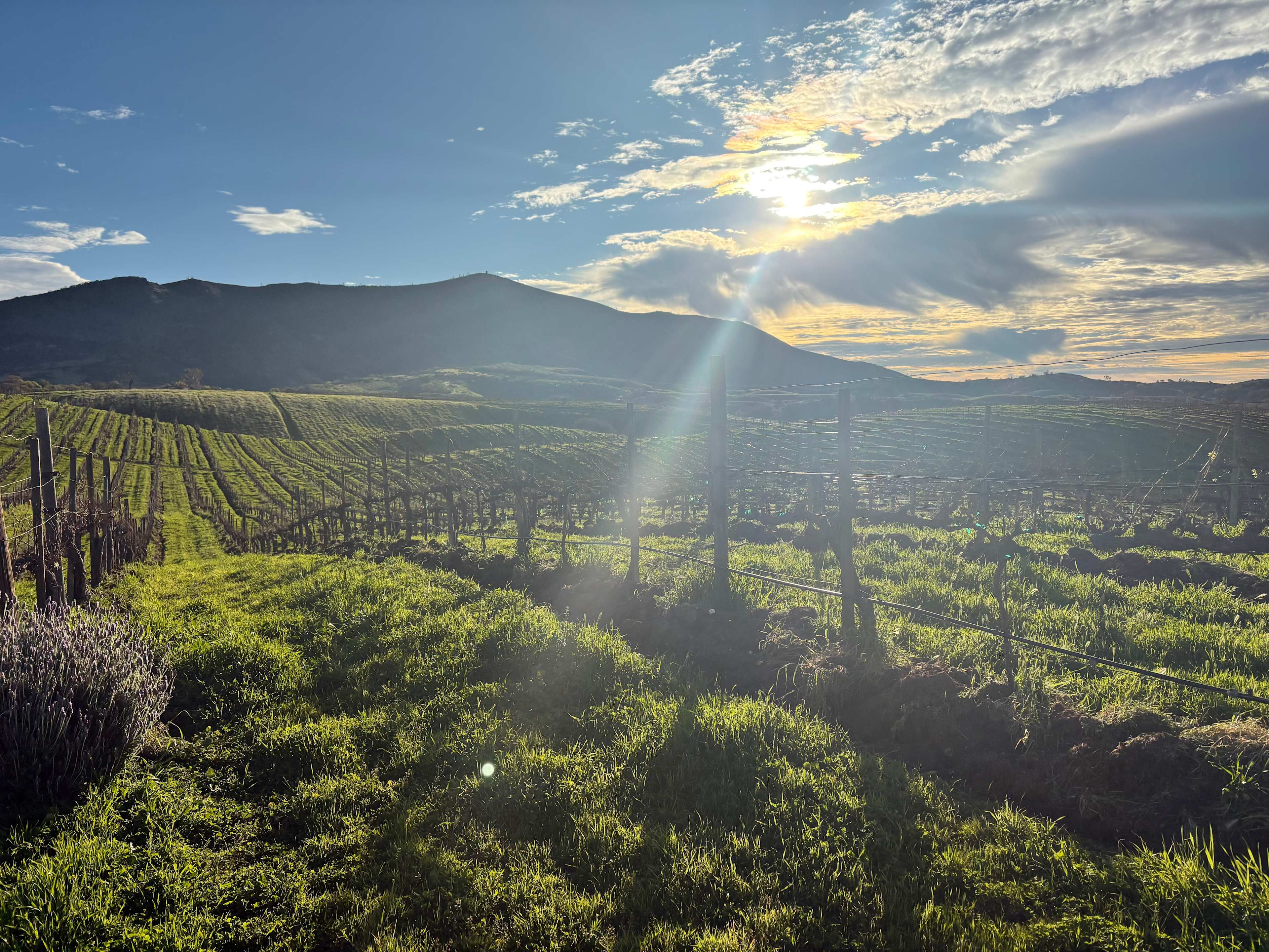 Two miles from Pinnacles Nat. Park