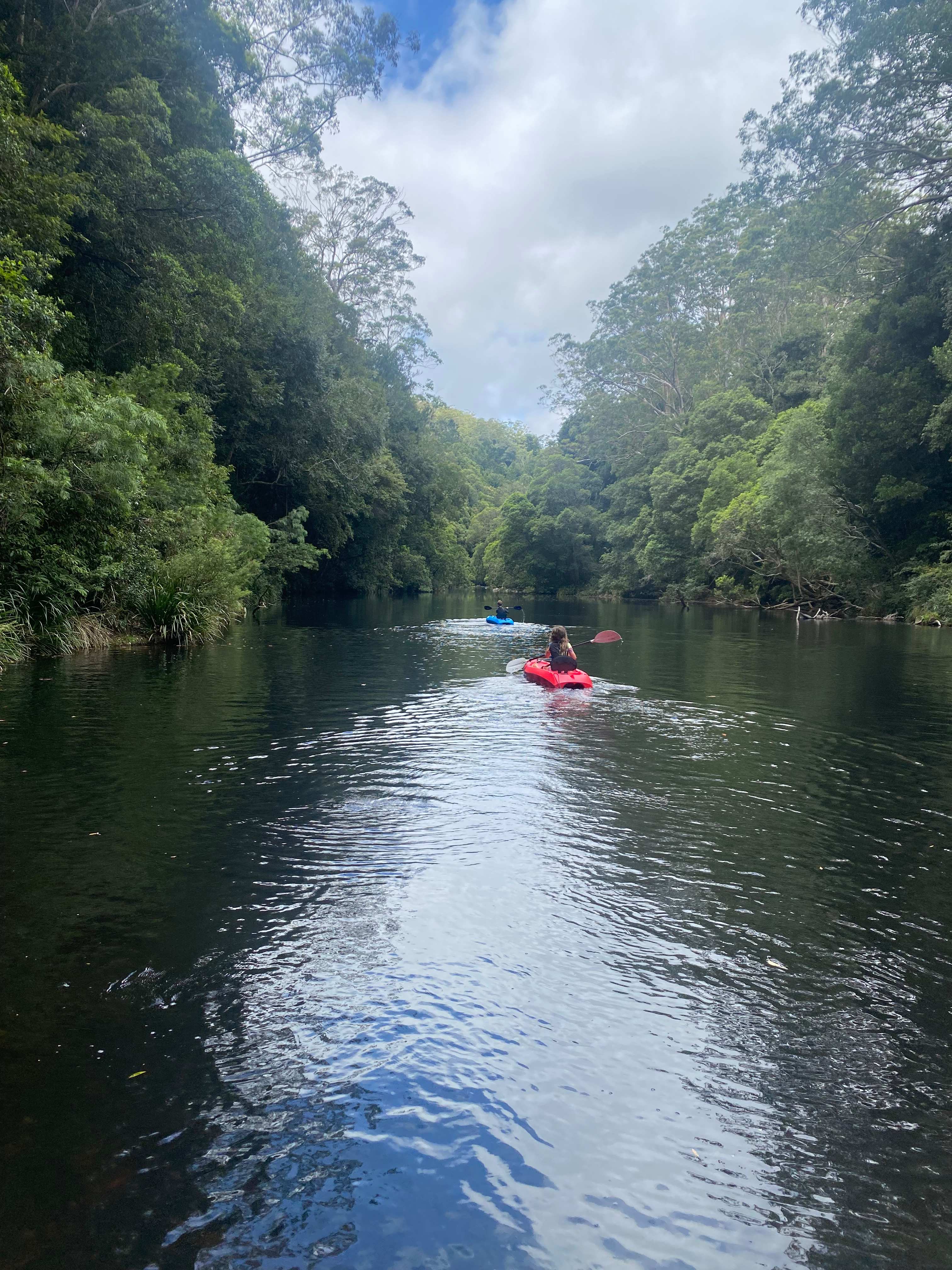 Frog Hollow Rainforest Camping