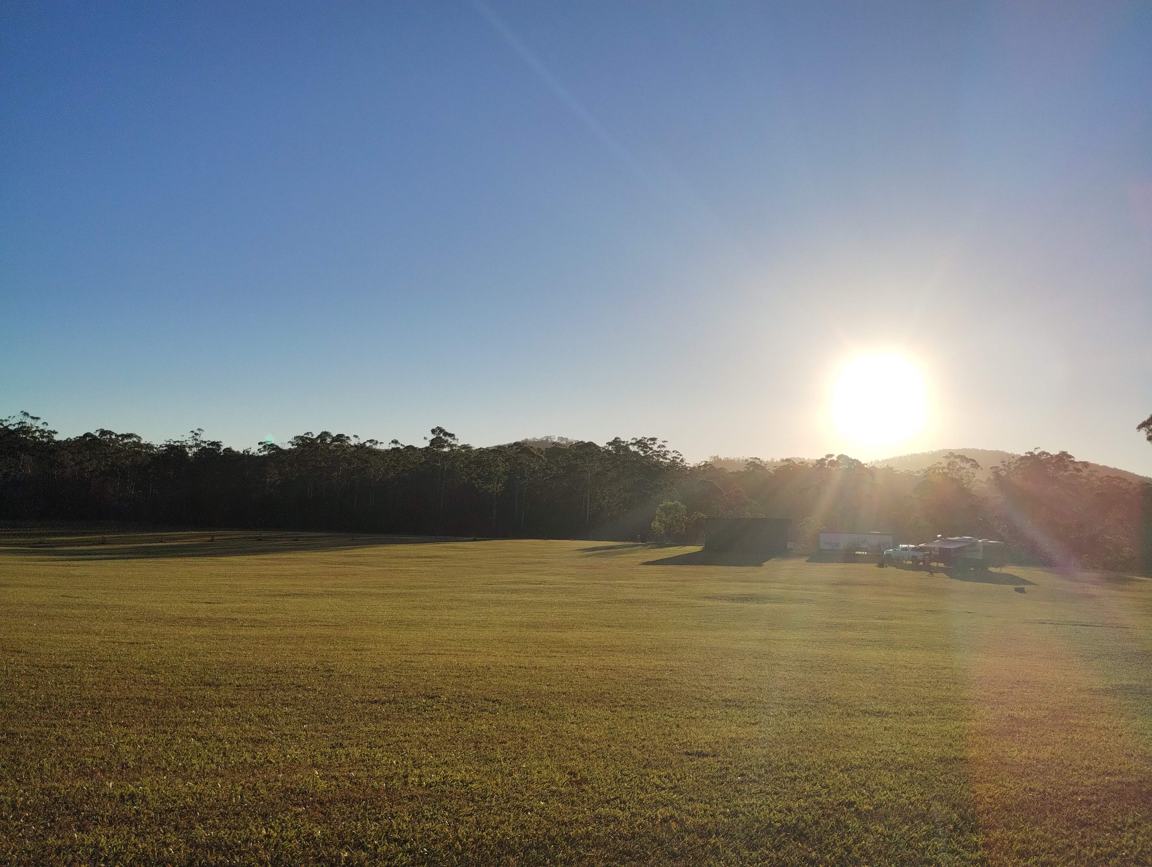 Spirit of the Forest