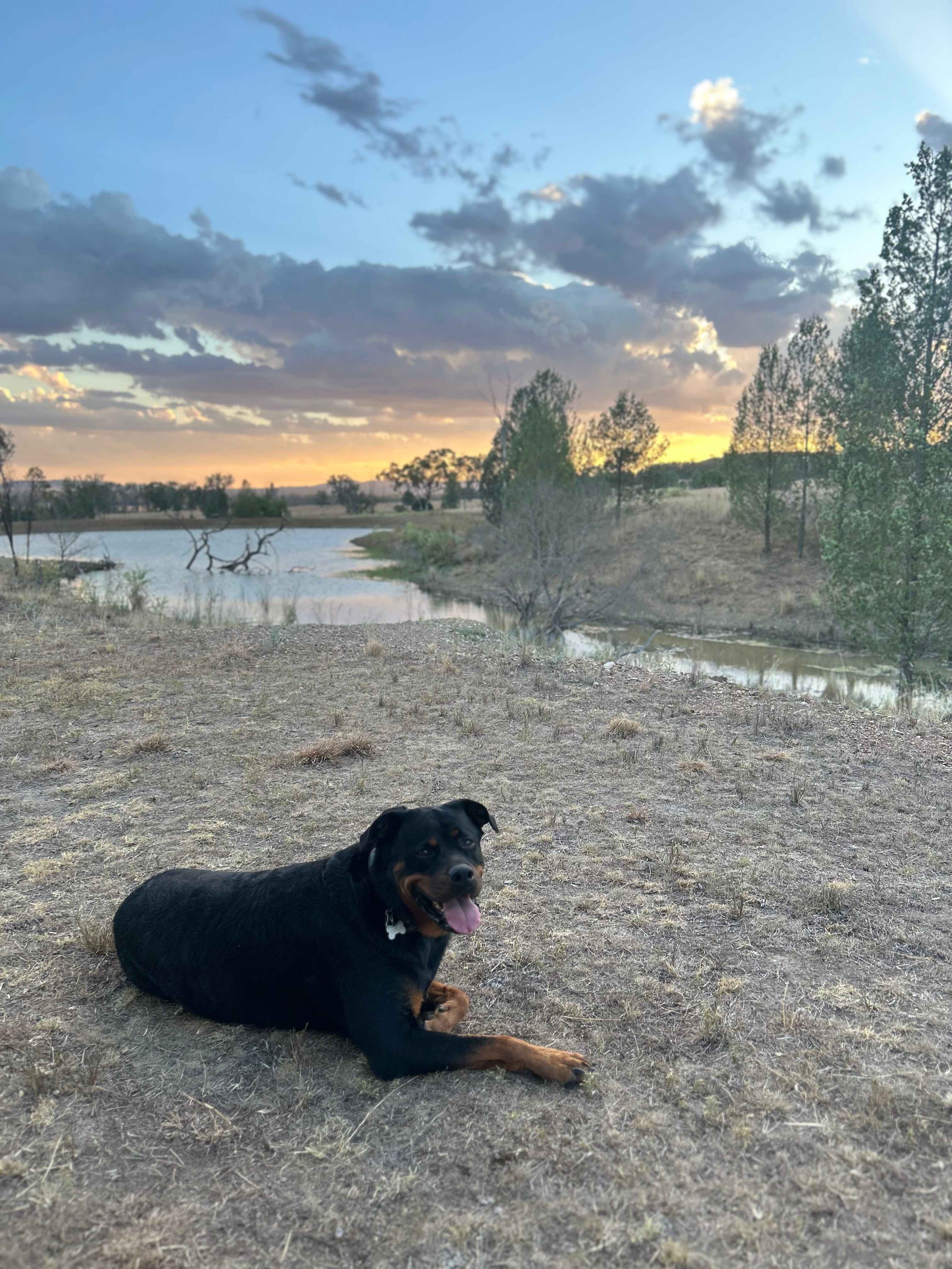 Valley Heights Texas QLD Bush Camp