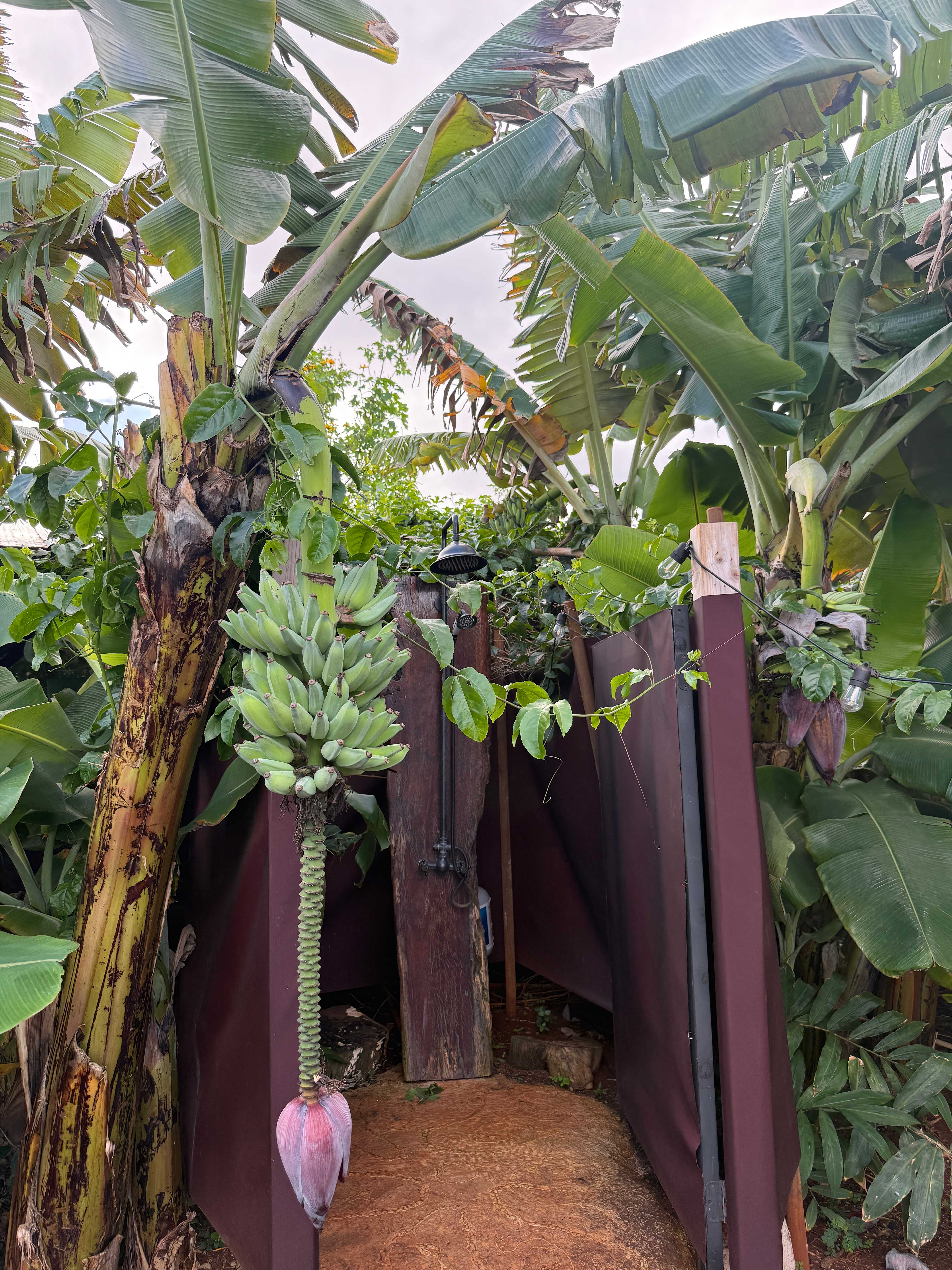 Living Circle Farms Hawaii