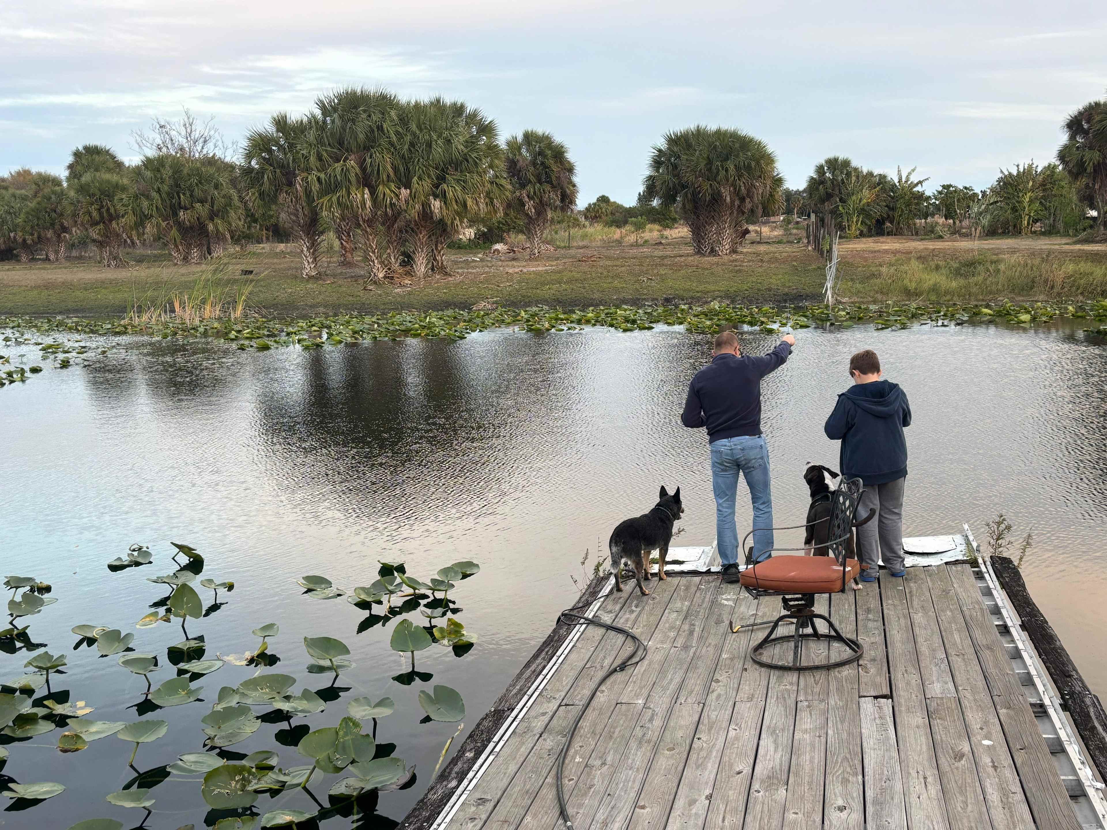 Blue Fox Ranch: Lake & Farm Camp