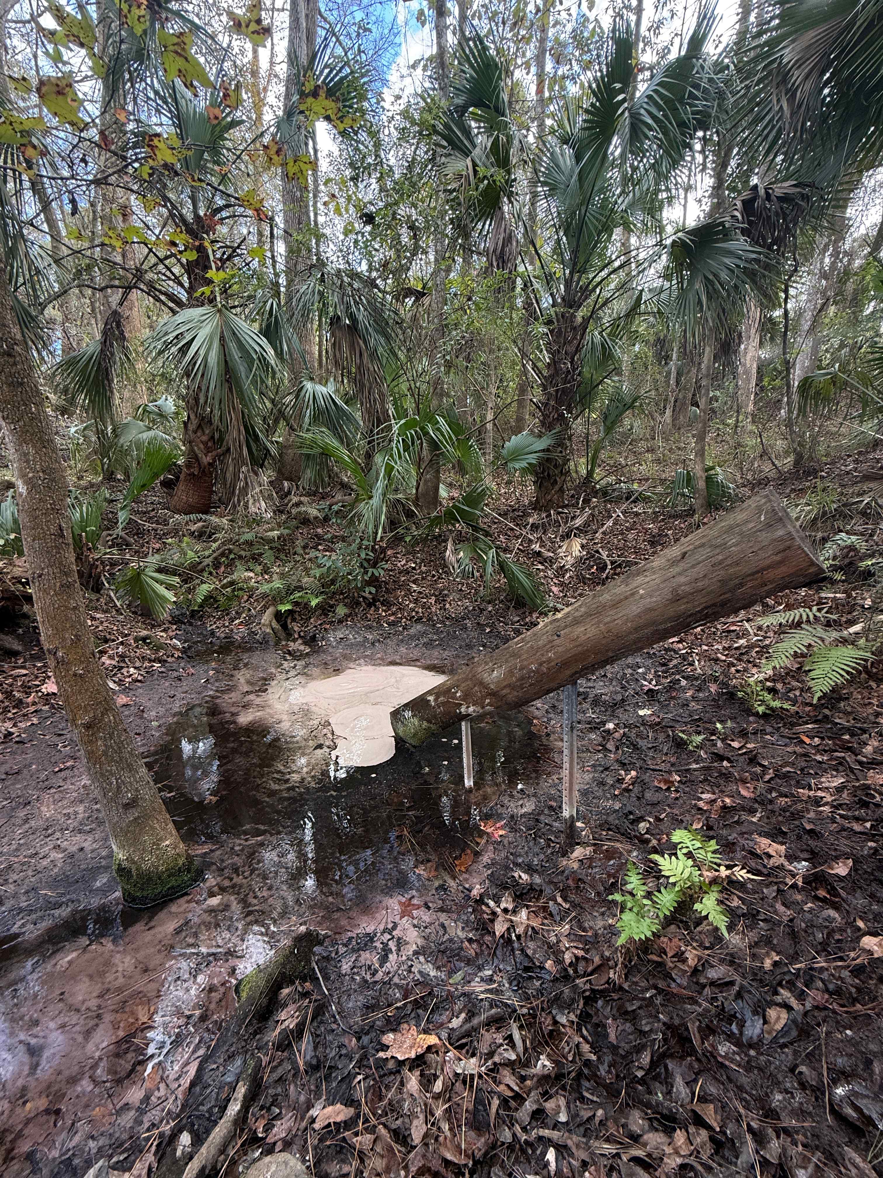 Camp Seminole Springs