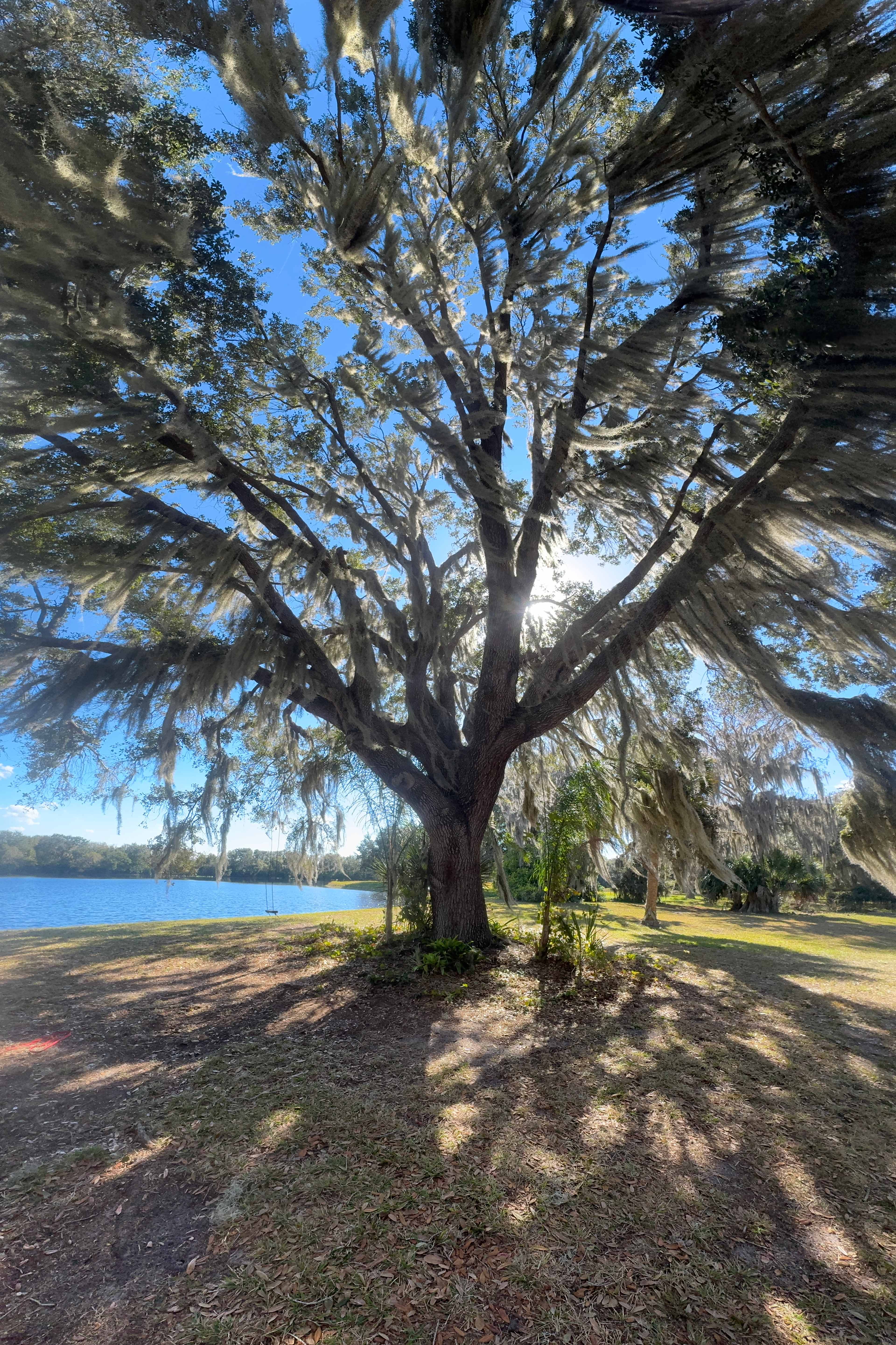 Lakeside Tranquility Camp