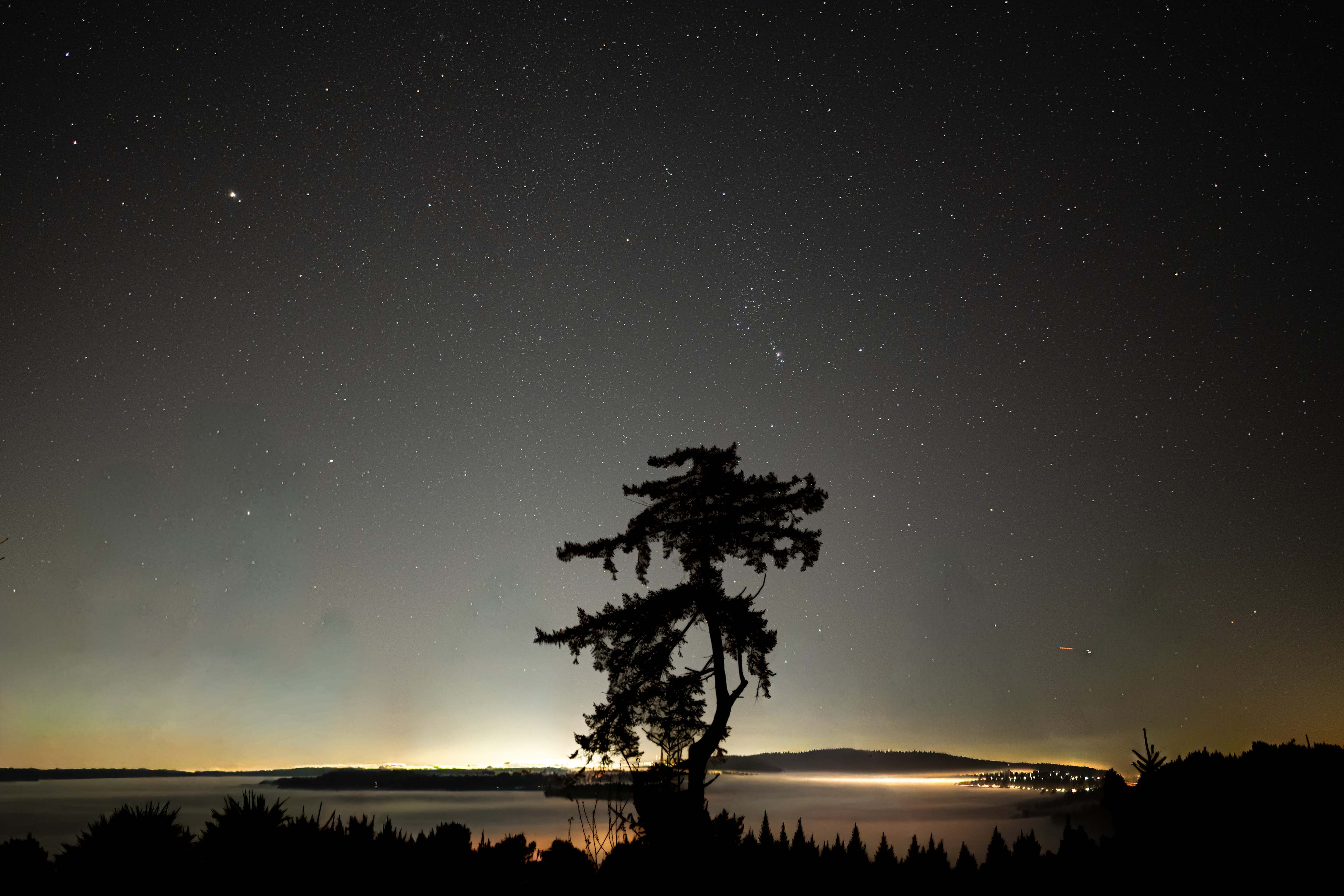 Hairy Eagle Lookout 🦅