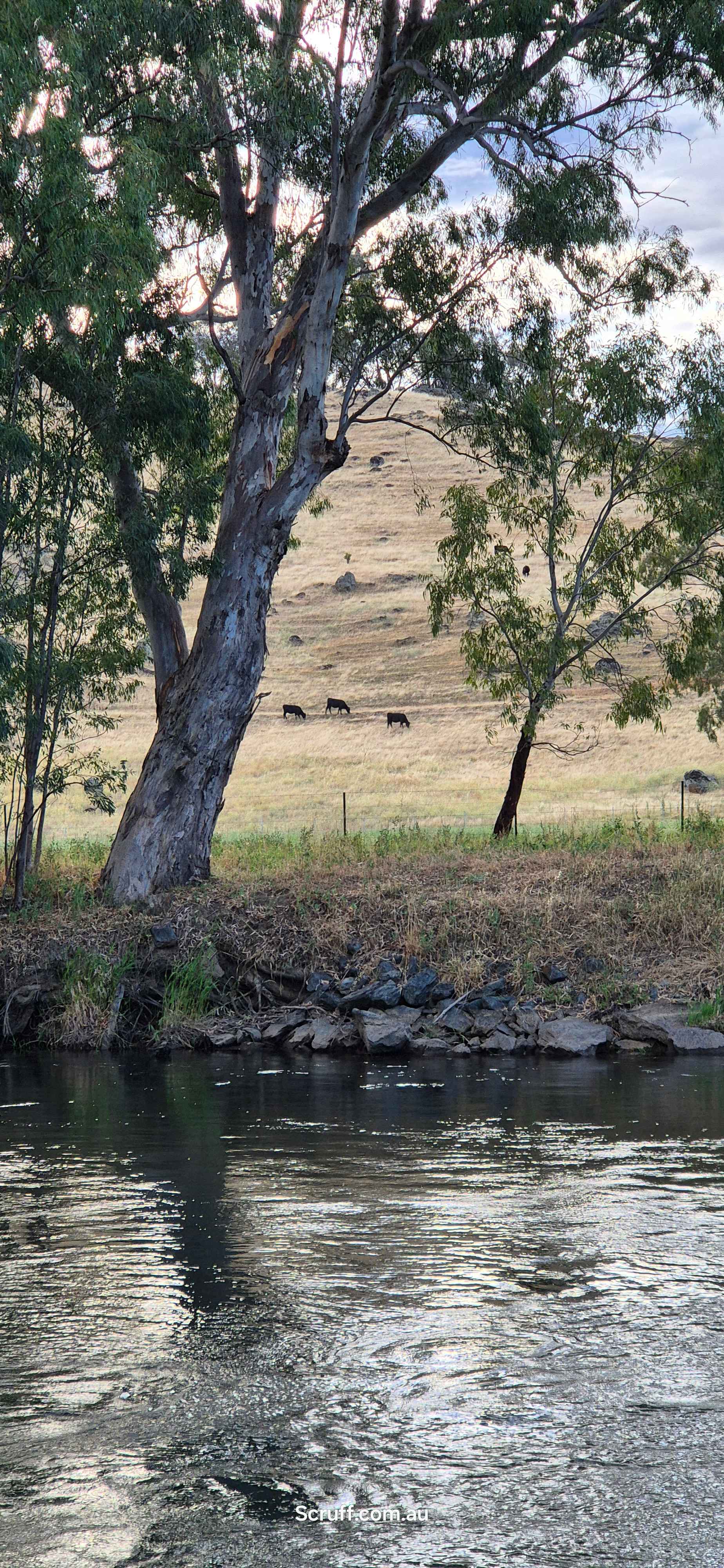 Tumut River 