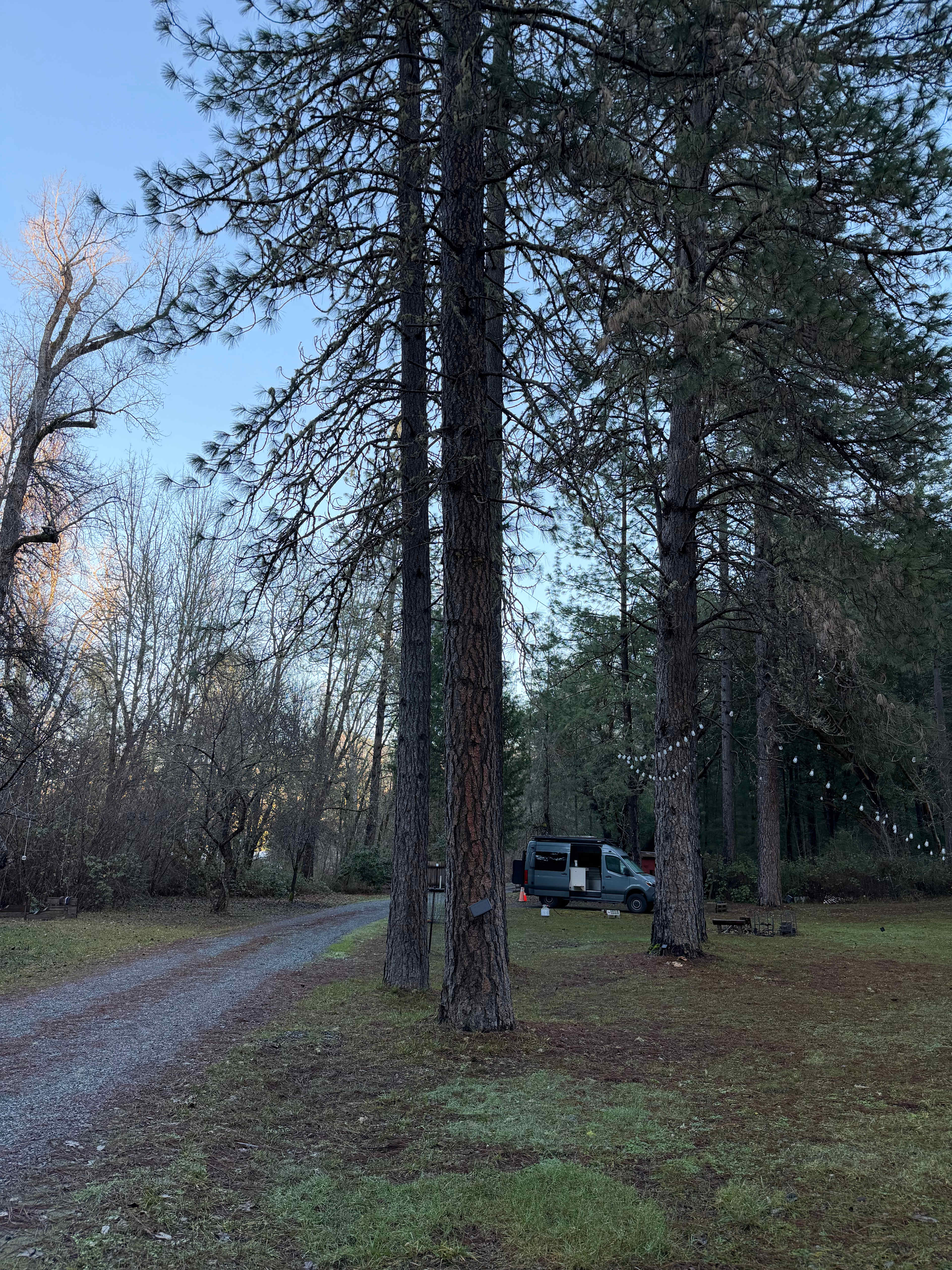 Hidden Forest Get-away