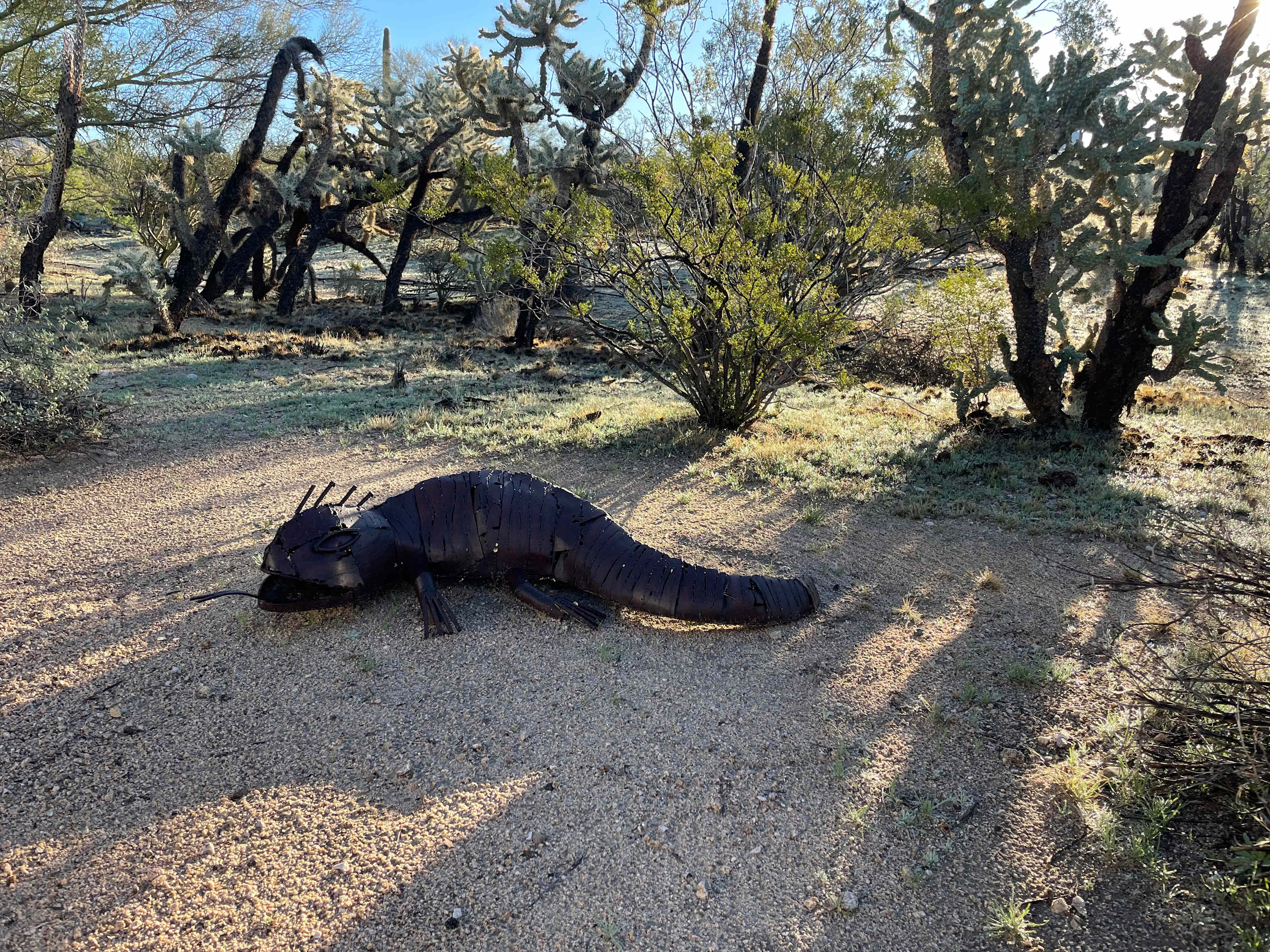 Wild Burro Desert Retreat