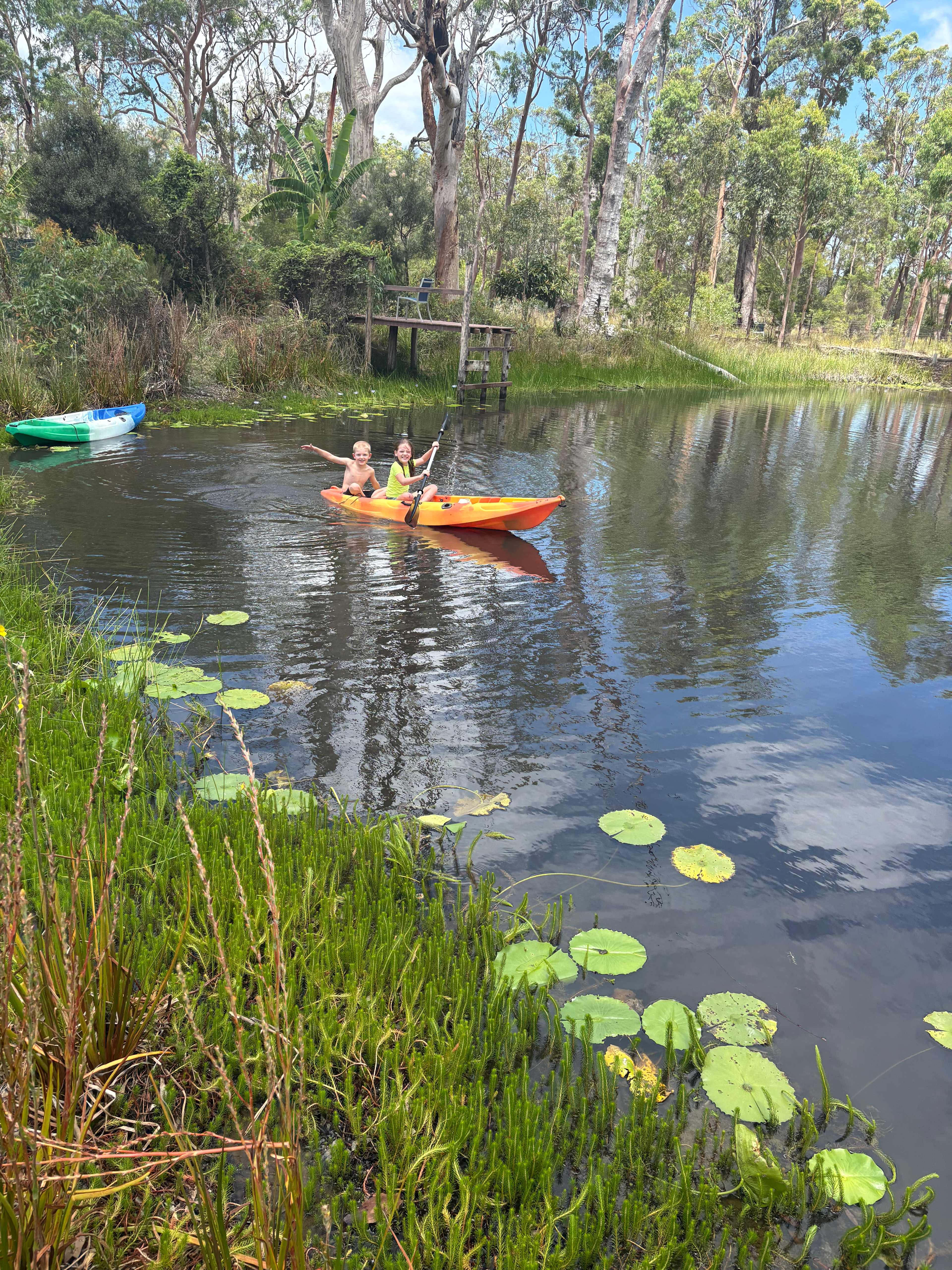 Peaceful Pond