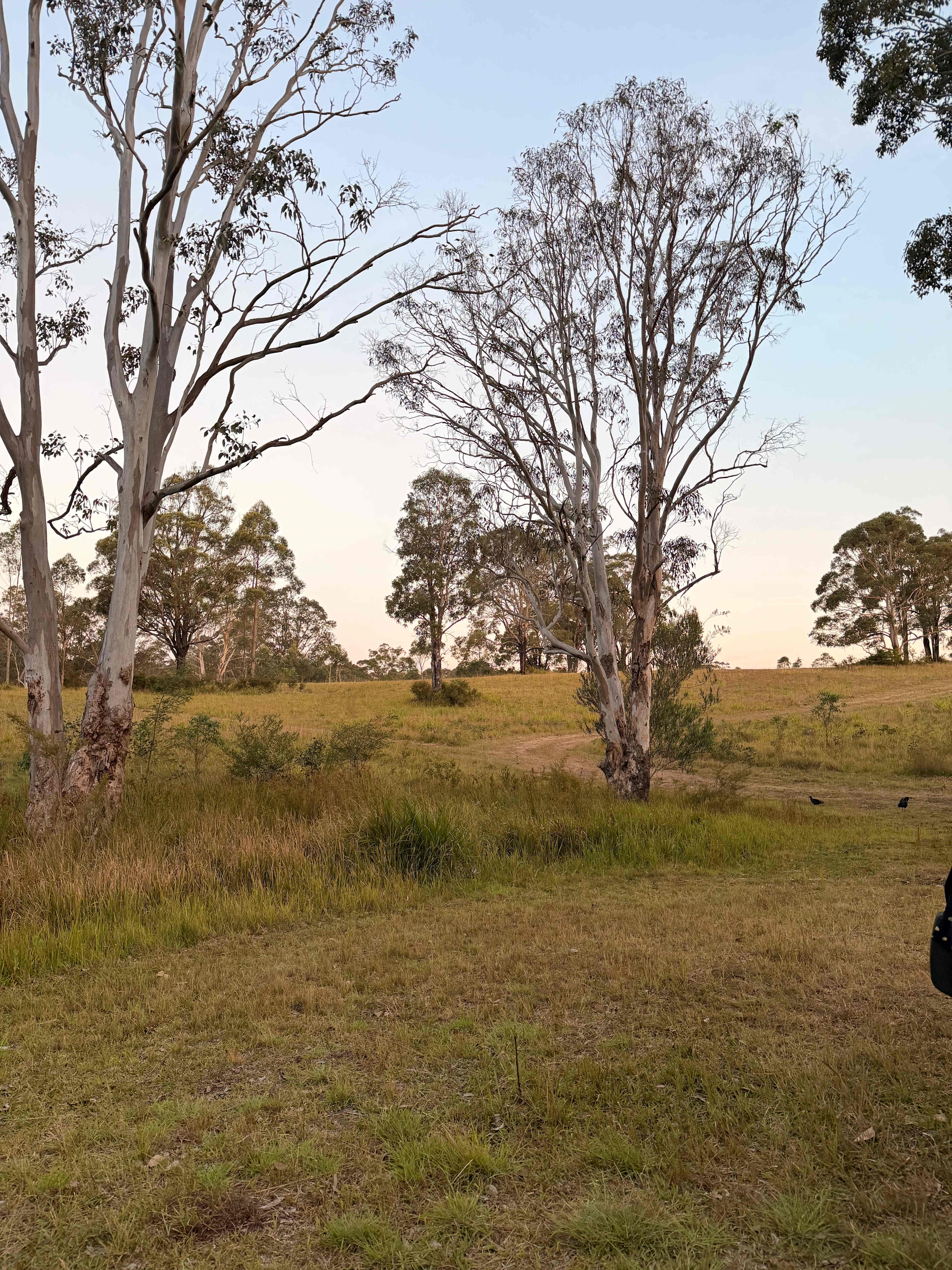 The Hundred Acre Woods