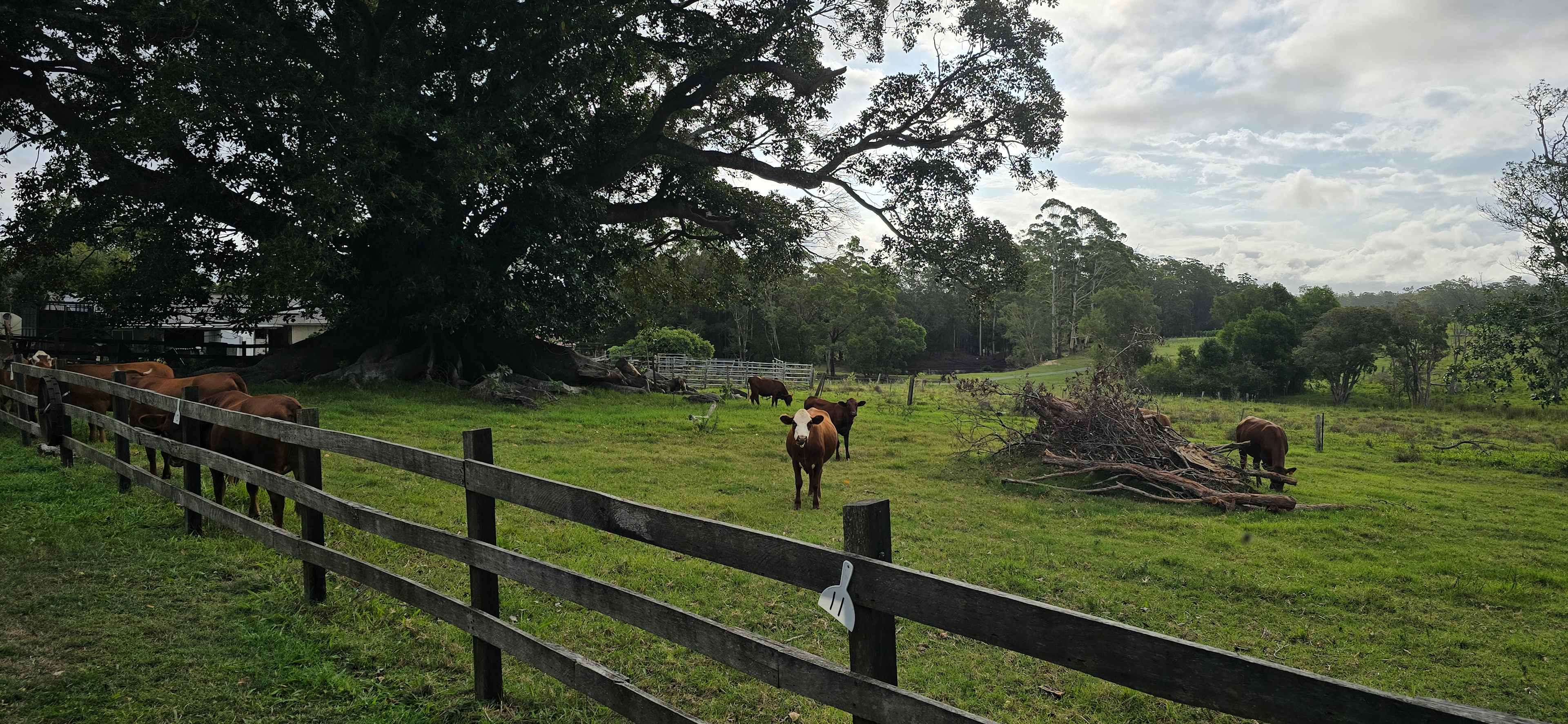 Doraville Farm Campsite